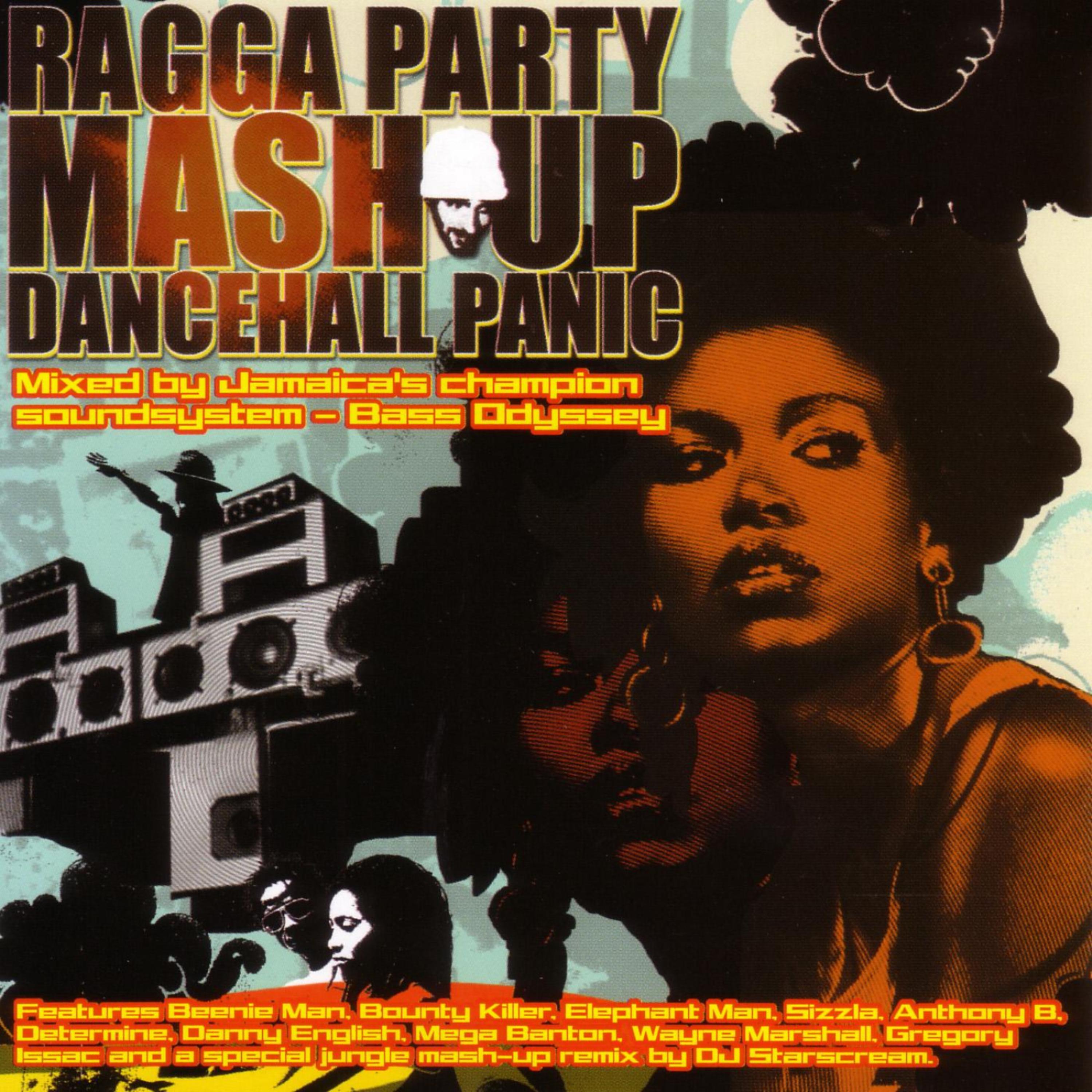 Постер альбома Ragga Party Mash Up