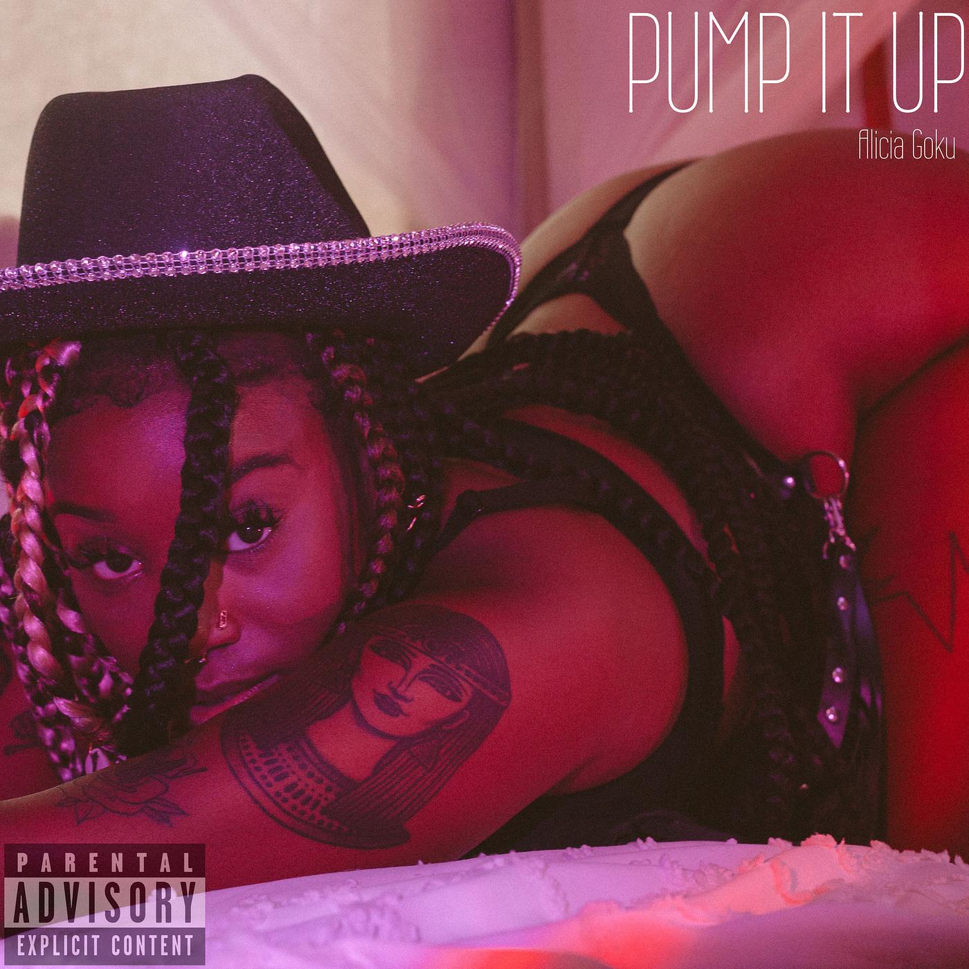 Постер альбома Pump It Up