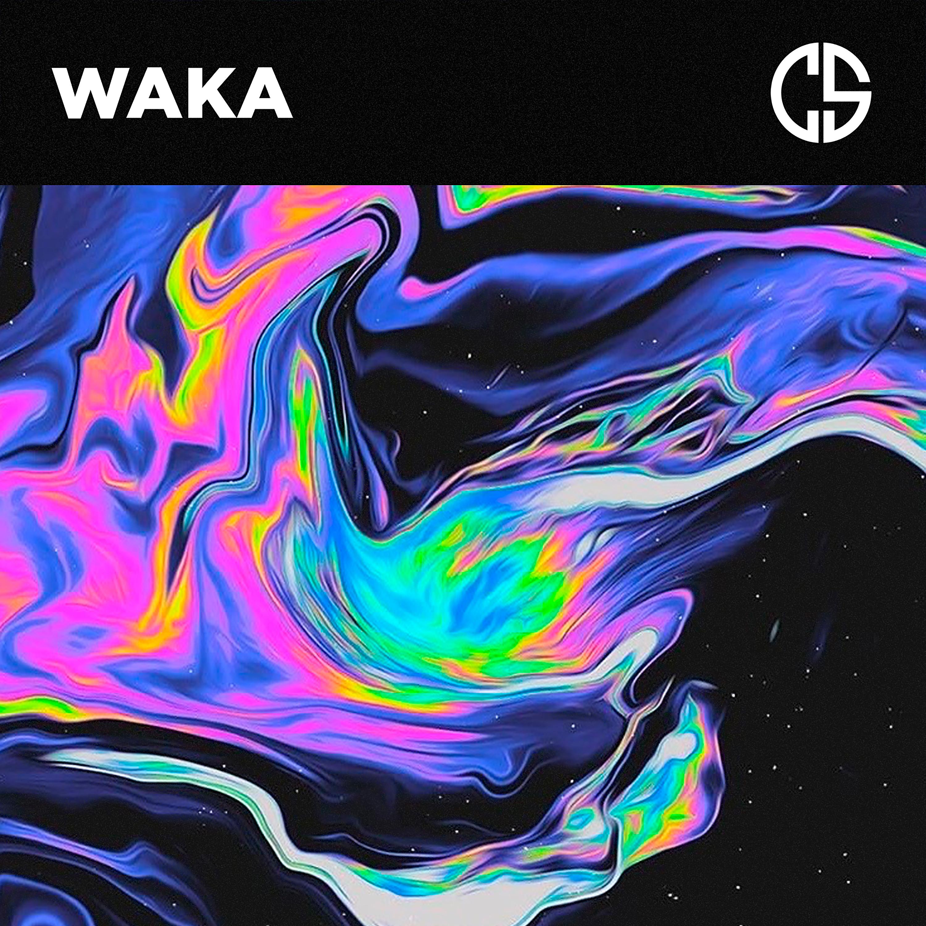 Постер альбома Waka