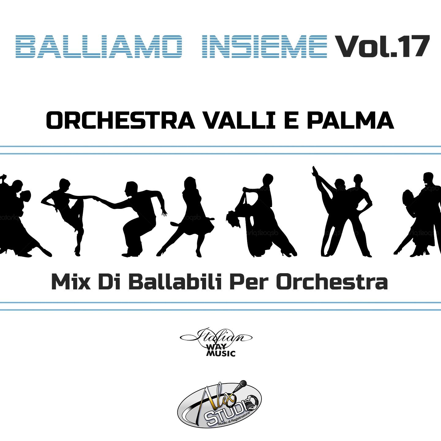 Постер альбома Balliamo insieme, Vol. 17