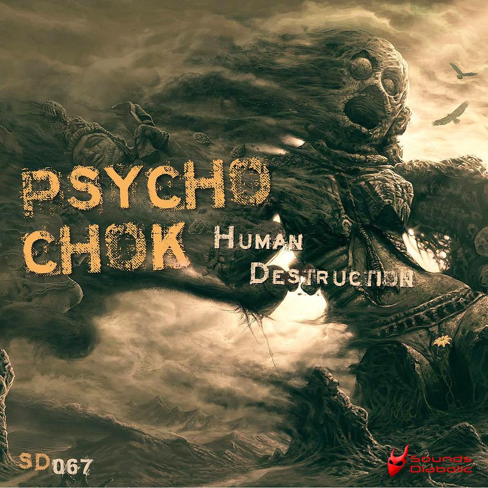 Постер альбома Human Destruction