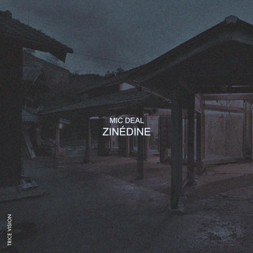 Постер альбома Zinédine