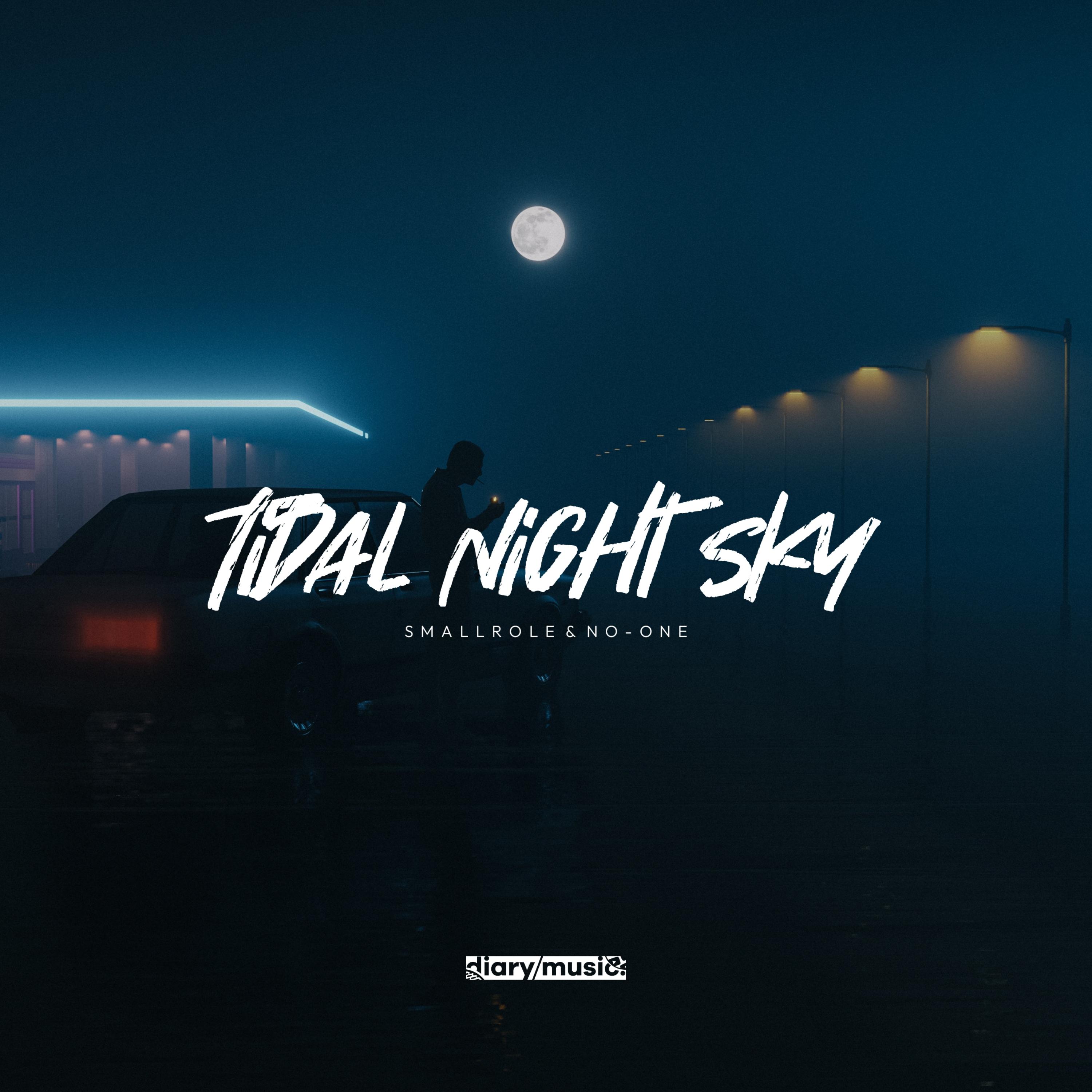 Постер альбома Tidal Night Sky