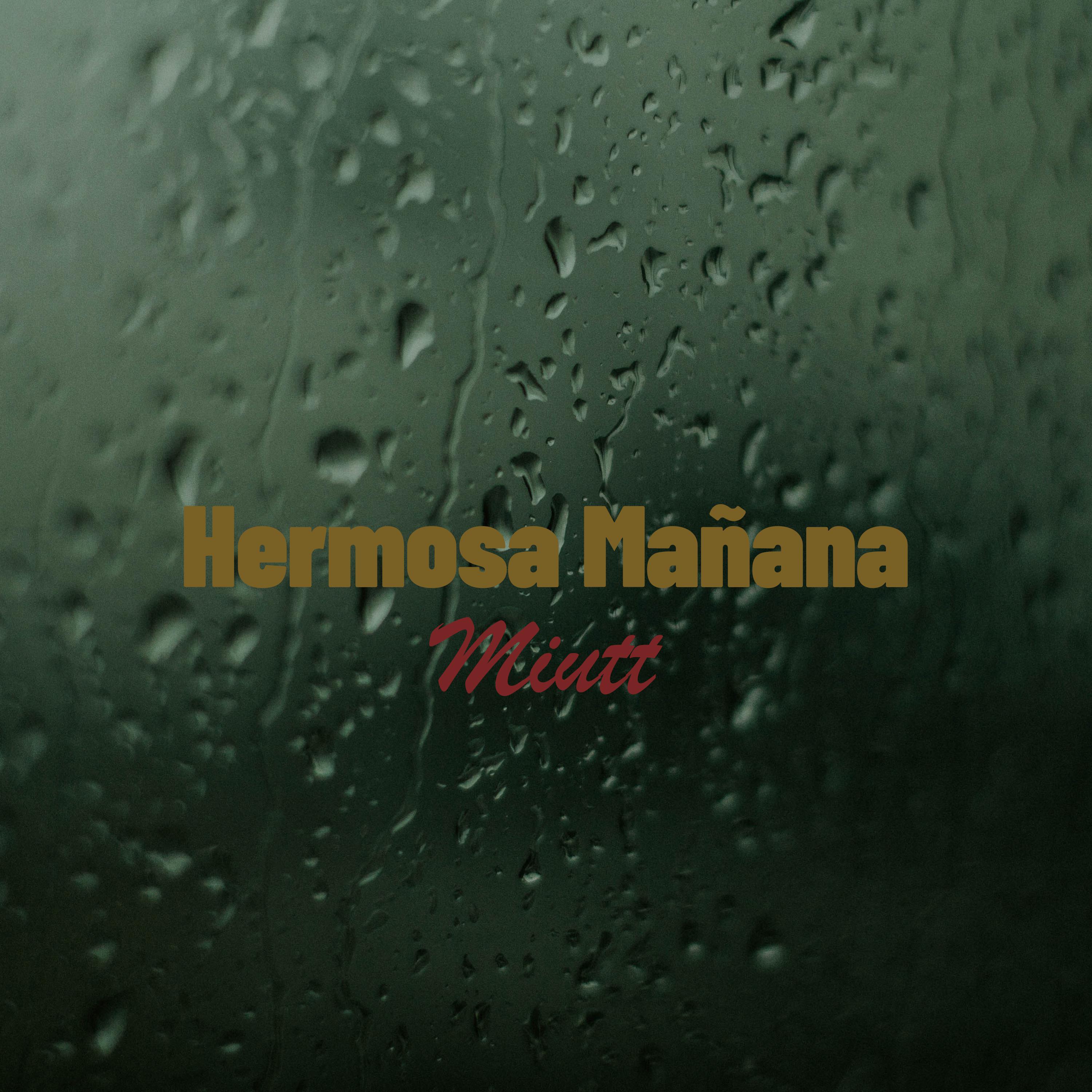 Постер альбома Hermosa Mañana