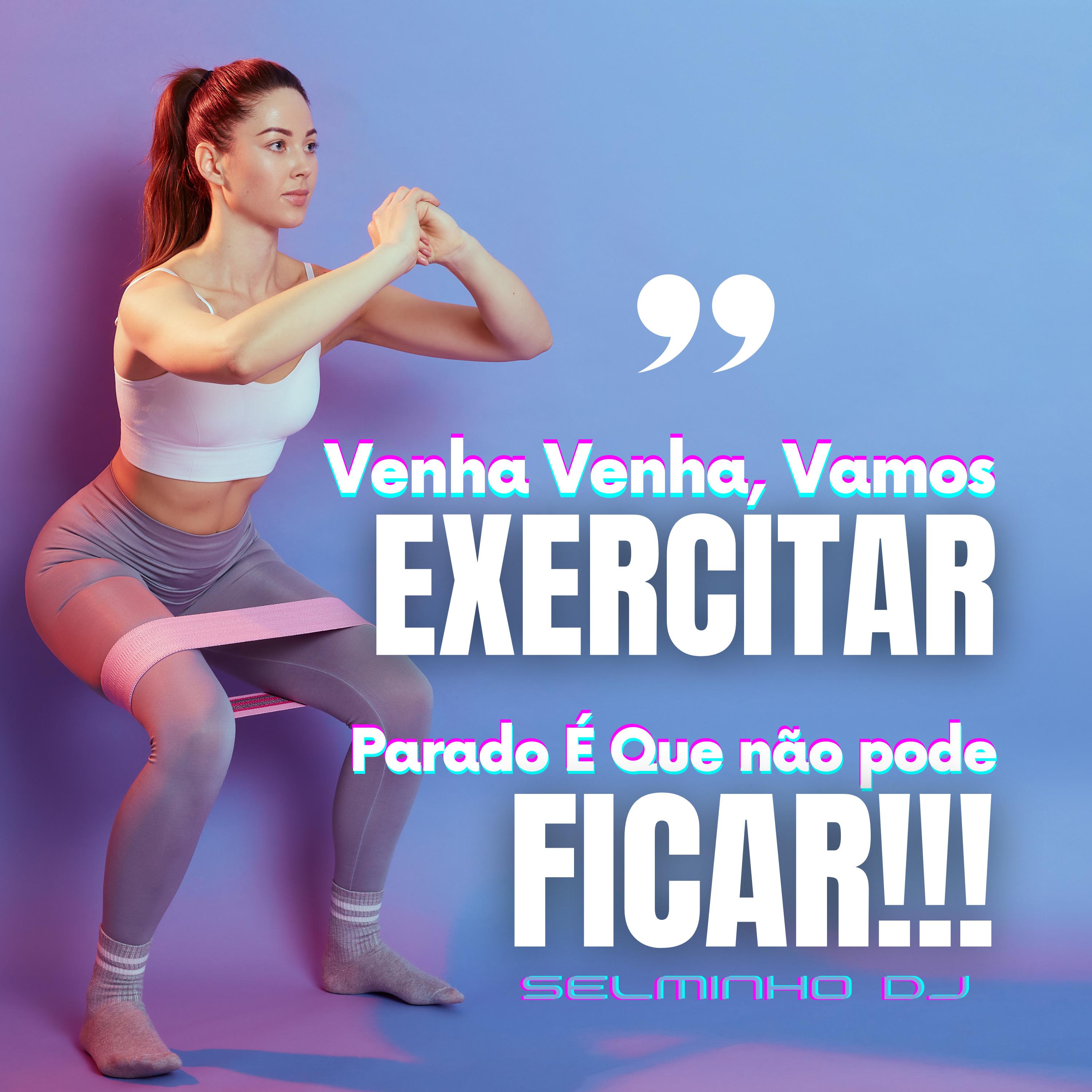 Постер альбома Venha Venha Vamos Exercitar, Parado É Que Não Pode Ficar