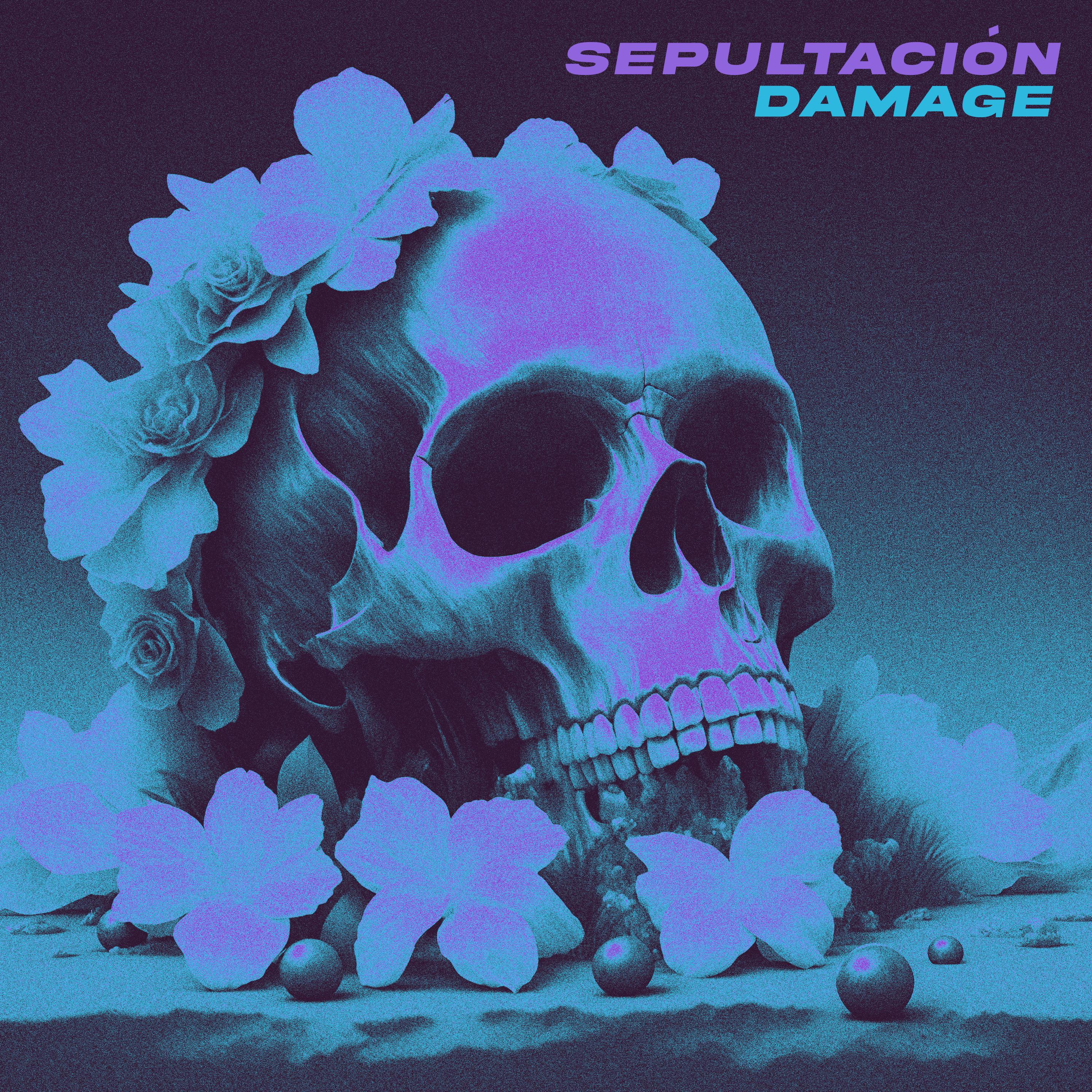 Постер альбома Sepultación