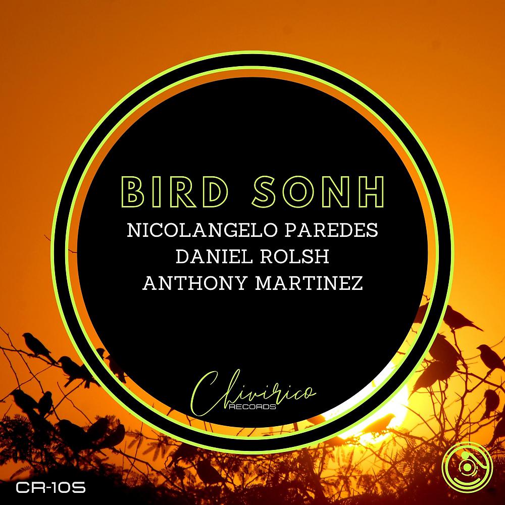 Постер альбома Bird Sonh