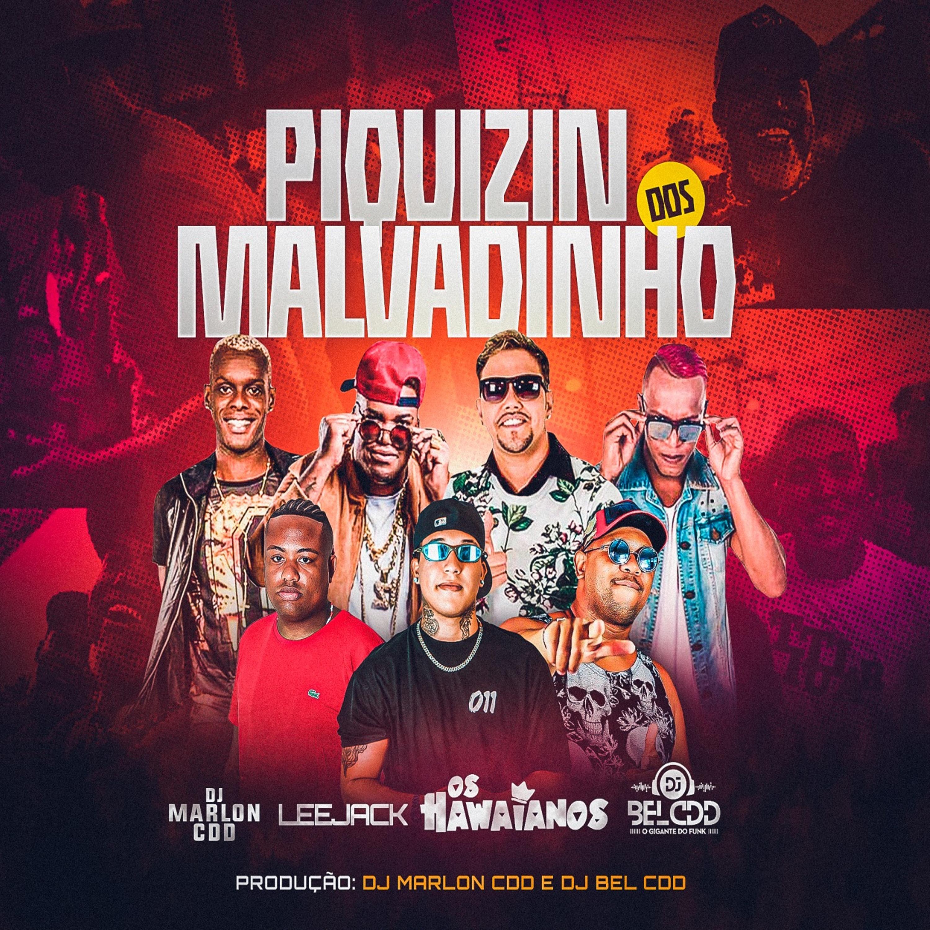 Постер альбома Piquezin dos Malvadinho
