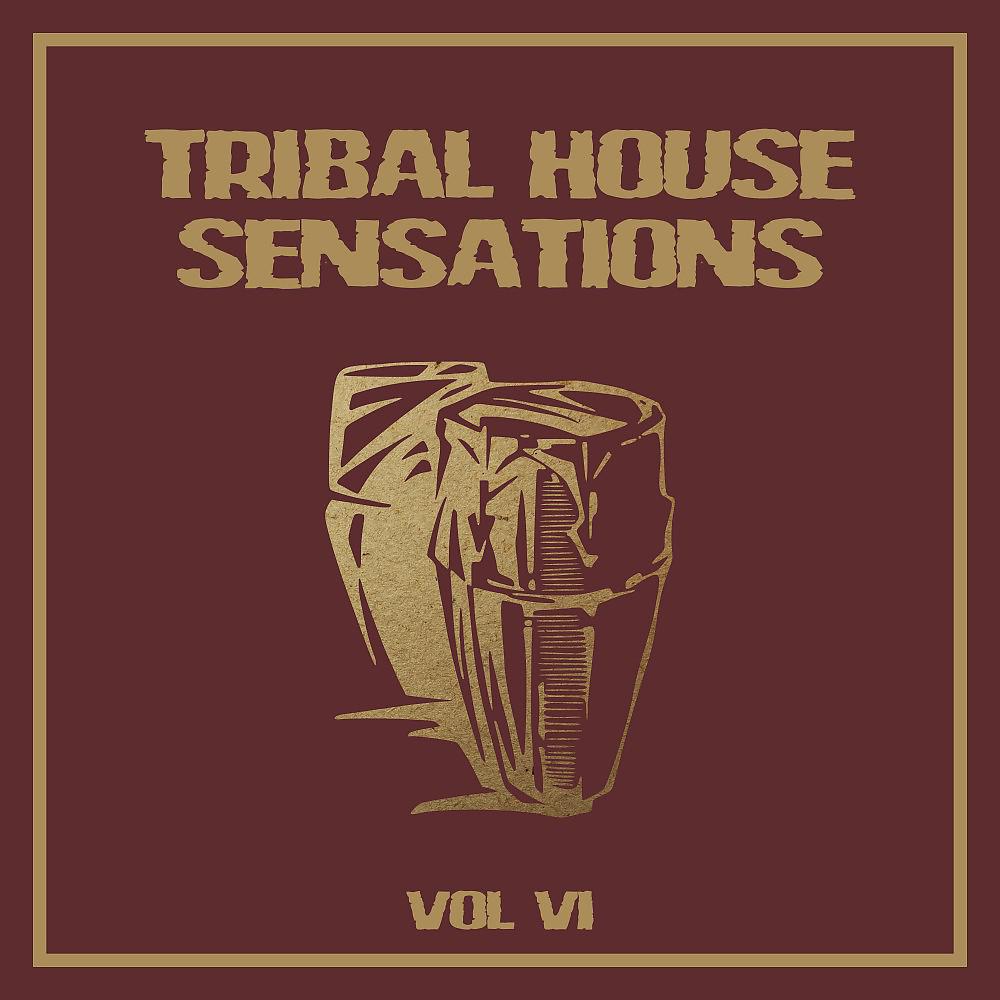Постер альбома Tribal House Sensations, Vol. 6