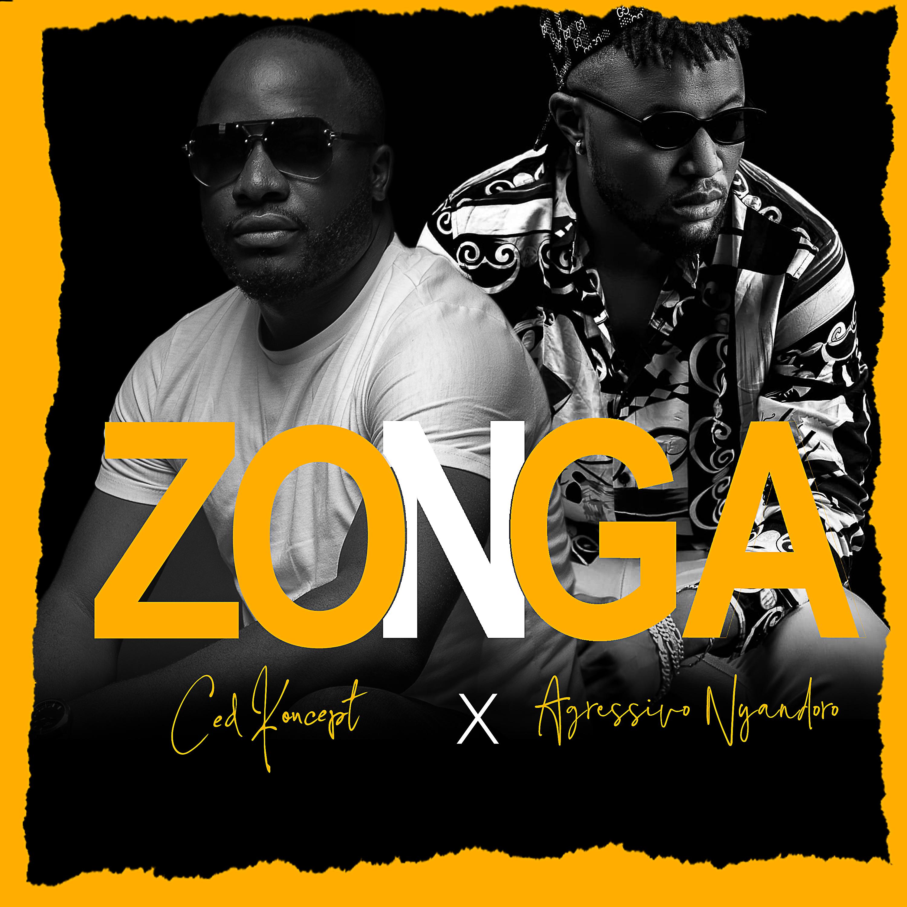 Постер альбома Zonga