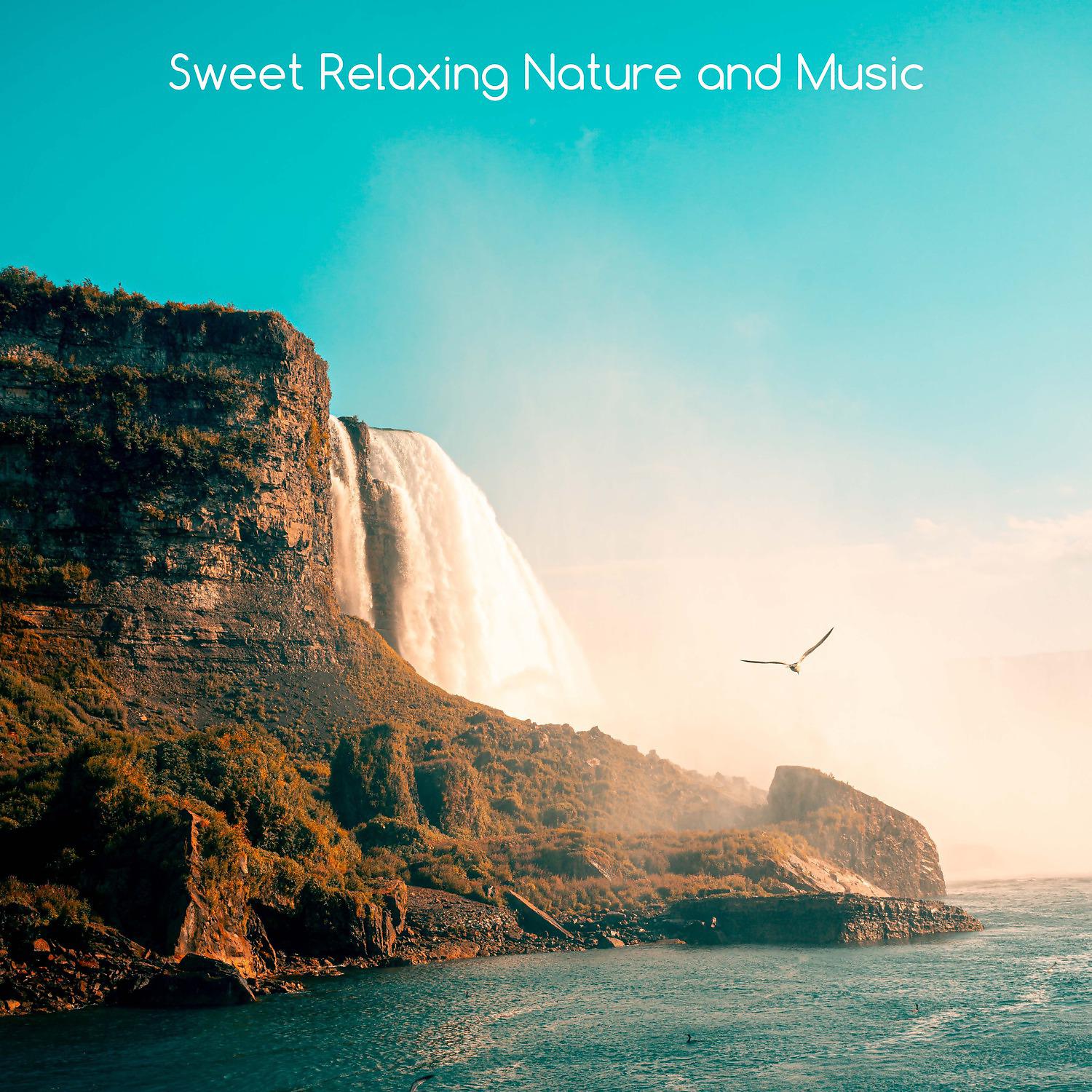 Постер альбома Sweet Relaxing Nature and Music