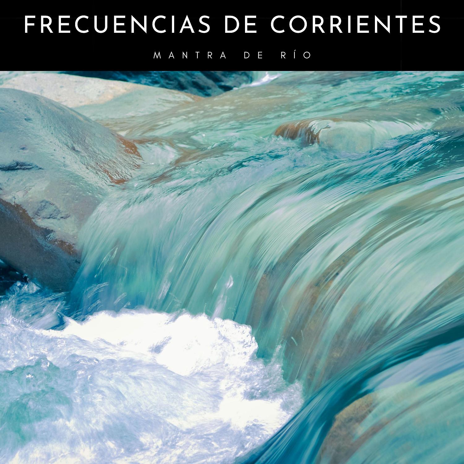 Постер альбома Frecuencias De Corrientes: Mantra De Río