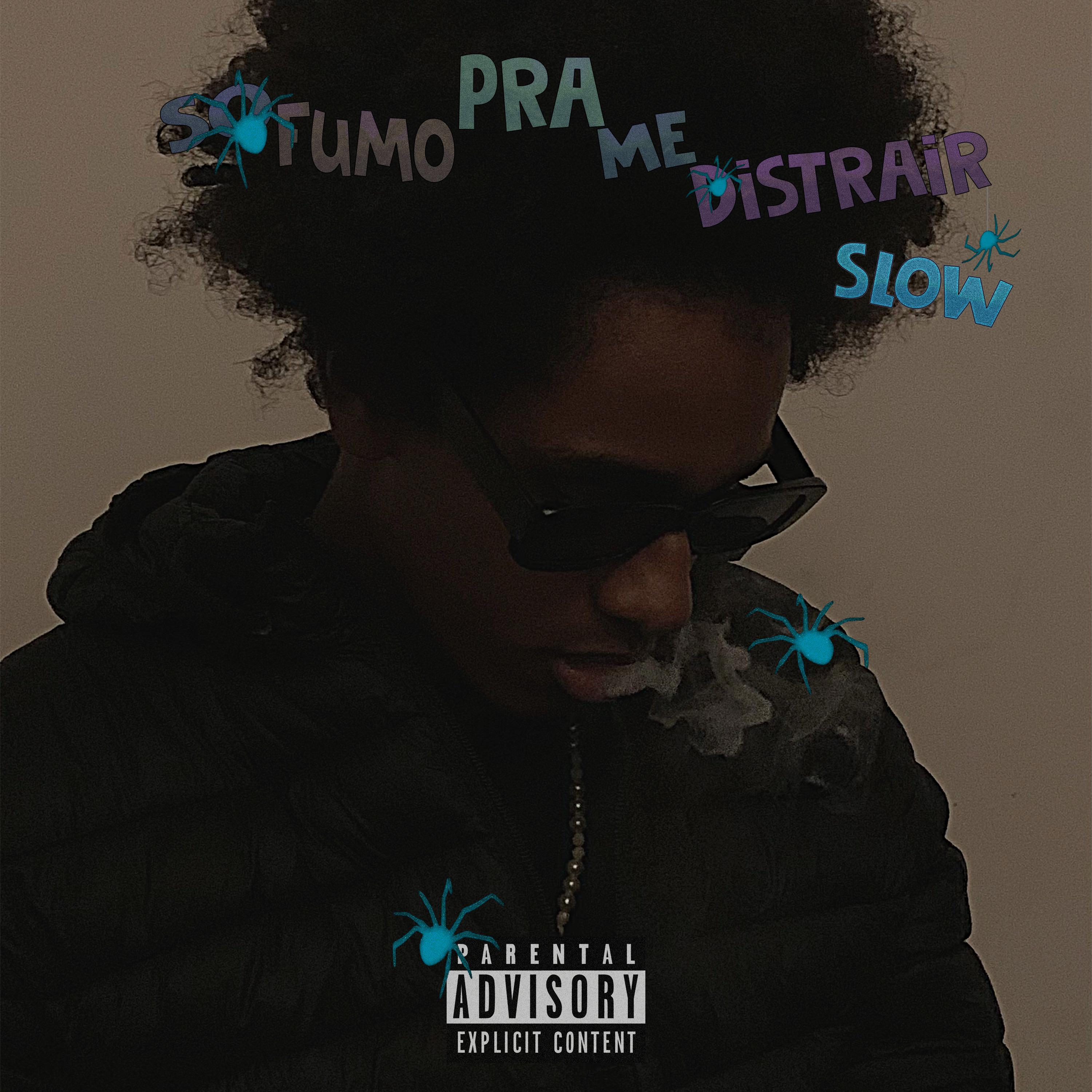 Постер альбома Só Fumo pra Me Distrair (Slowed And Reverb)