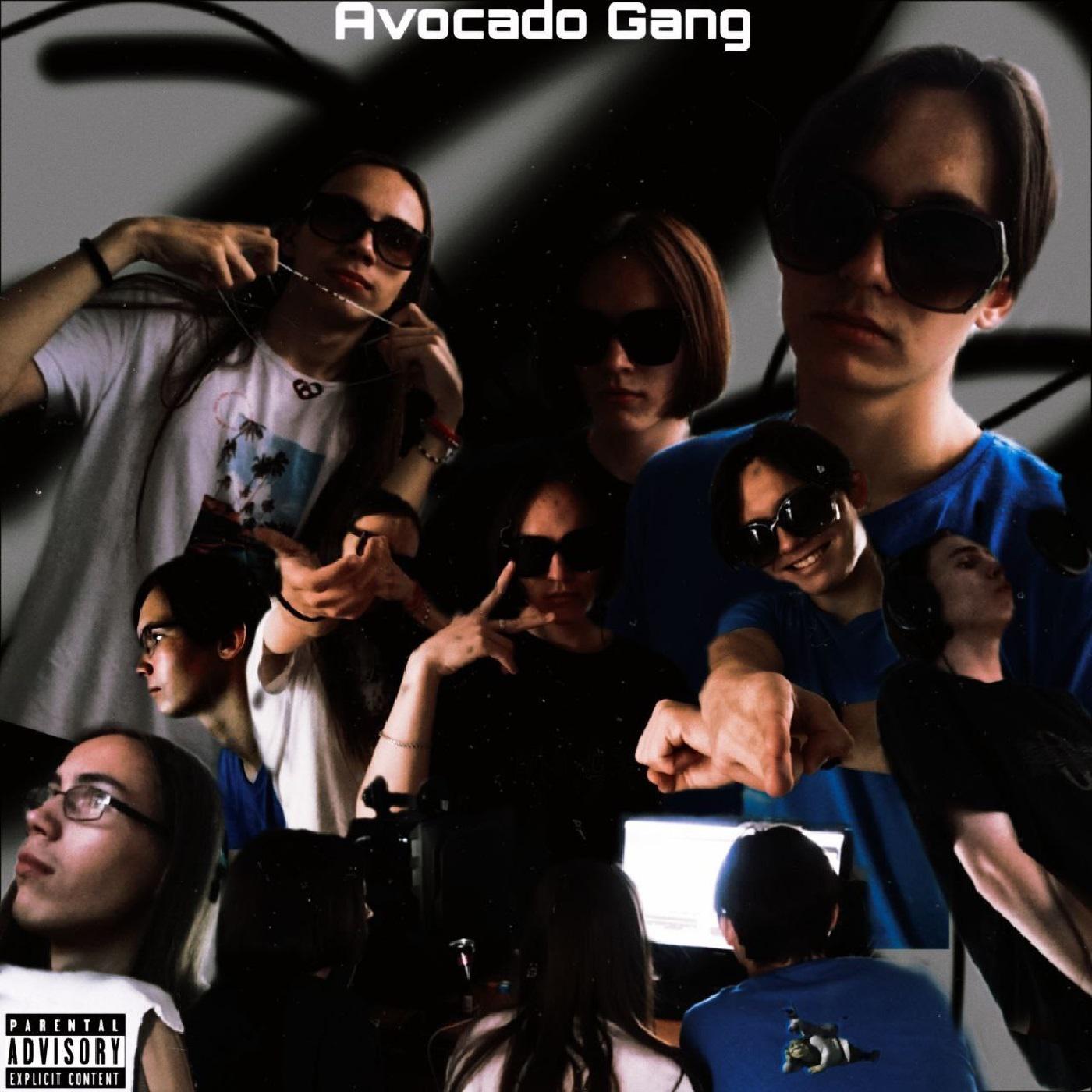 Постер альбома Avocado Gang