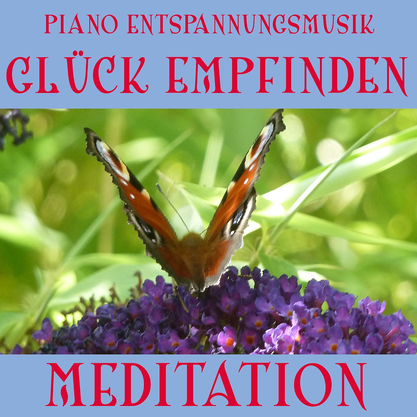 Постер альбома Harmonie - Piano Entspannungsmusik: Glück empfinden