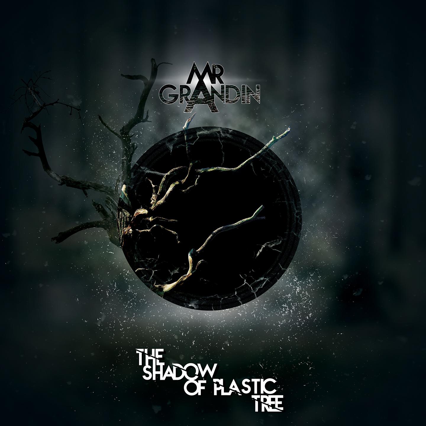 Постер альбома The Shadow of Plastic Tree