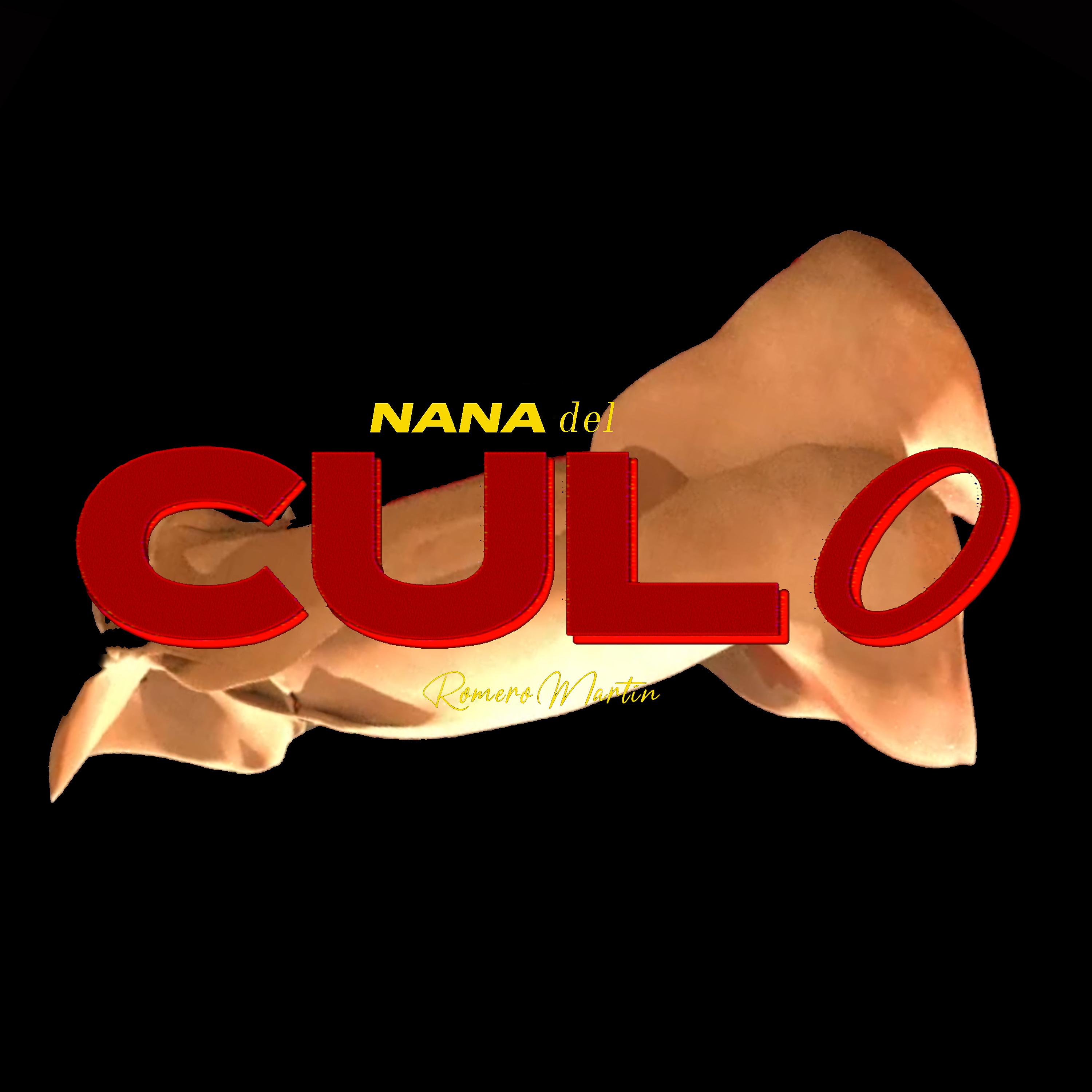 Постер альбома Nana del Culo