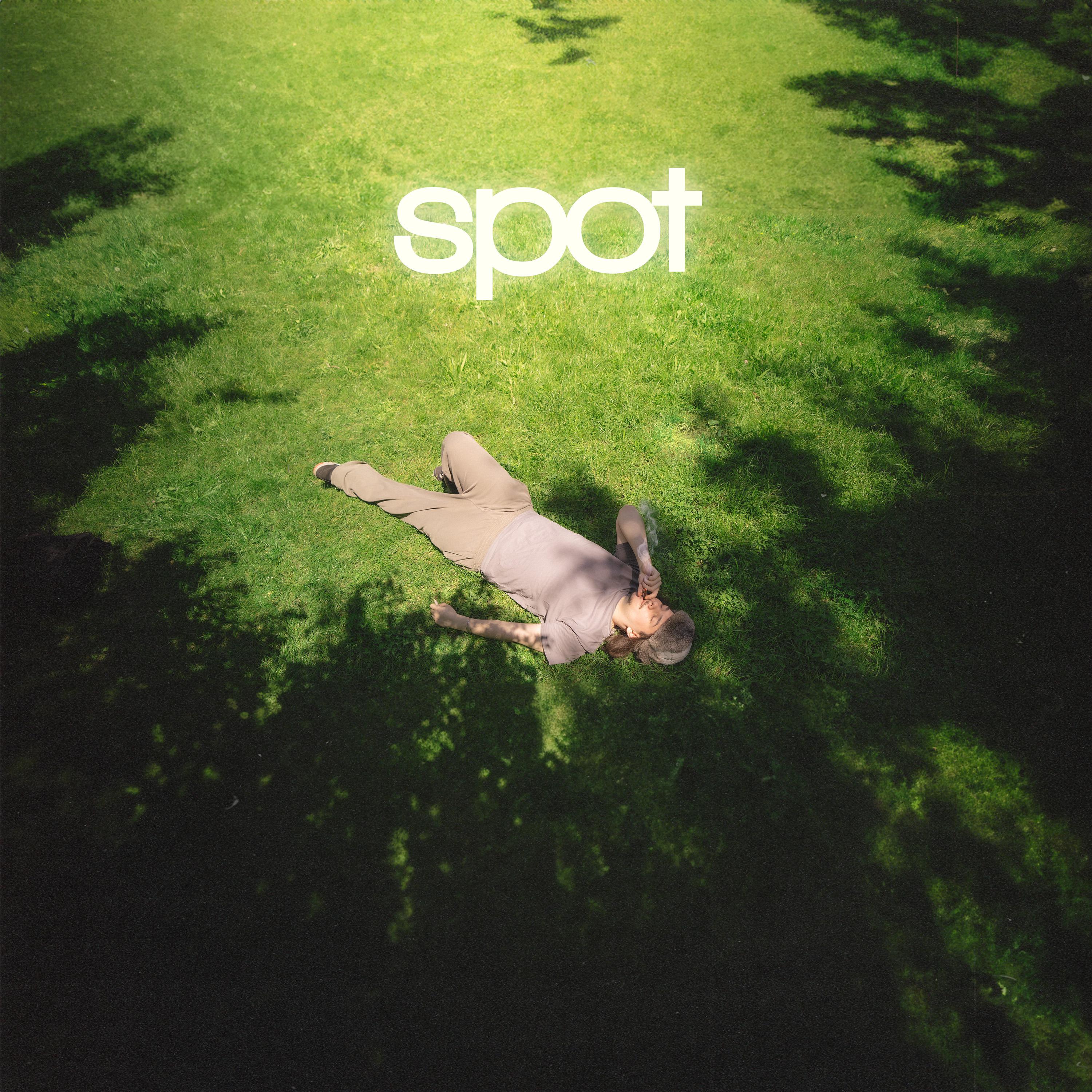 Постер альбома Spot