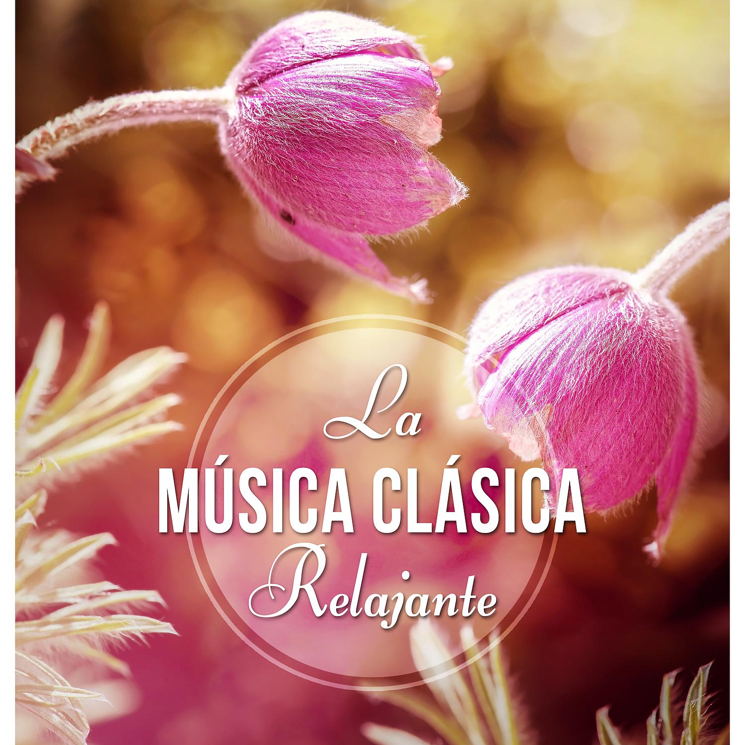 Постер альбома La Música Clásica Relajante: Relajar la Mente, Su Cuerpo y Su Alma, Instrumental de Fondo para la Lectura