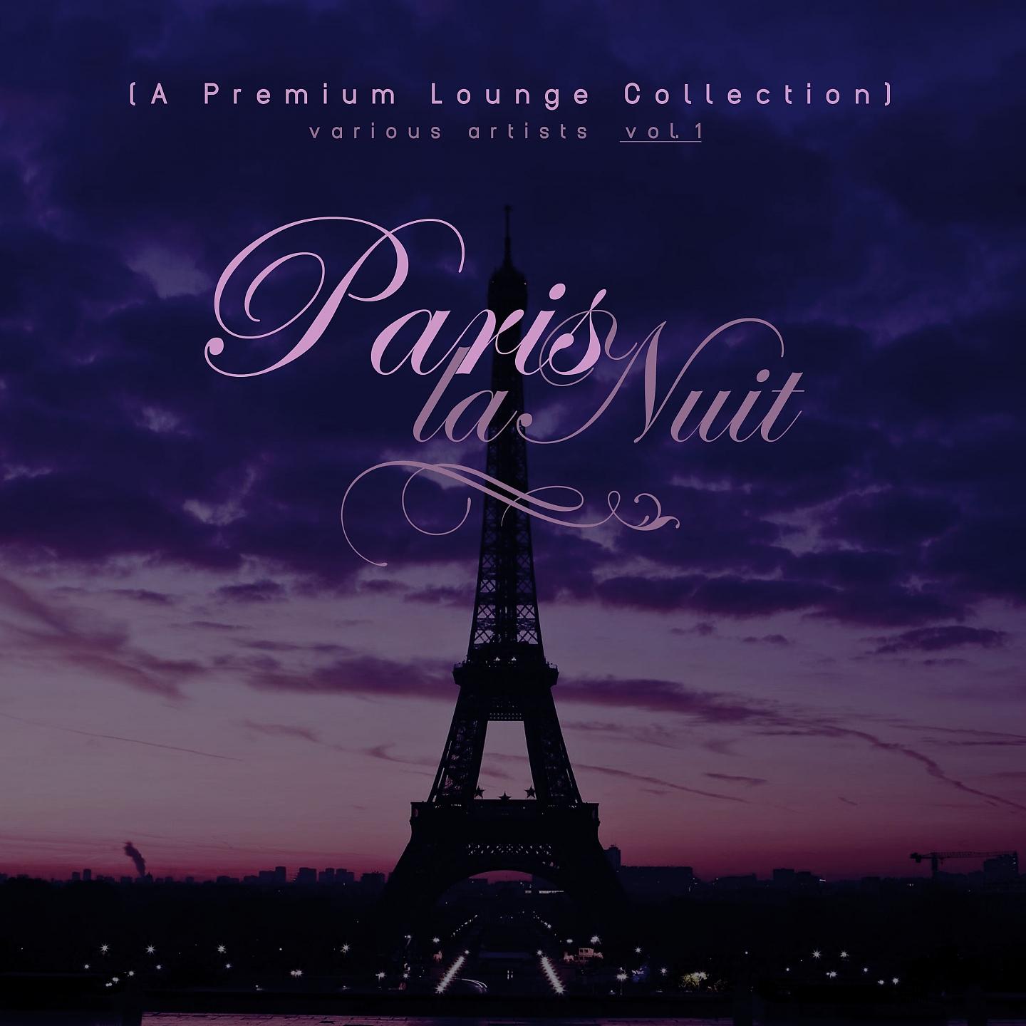 Постер альбома Paris La Nuit, Vol. 1 (A Premium Lounge Collection)