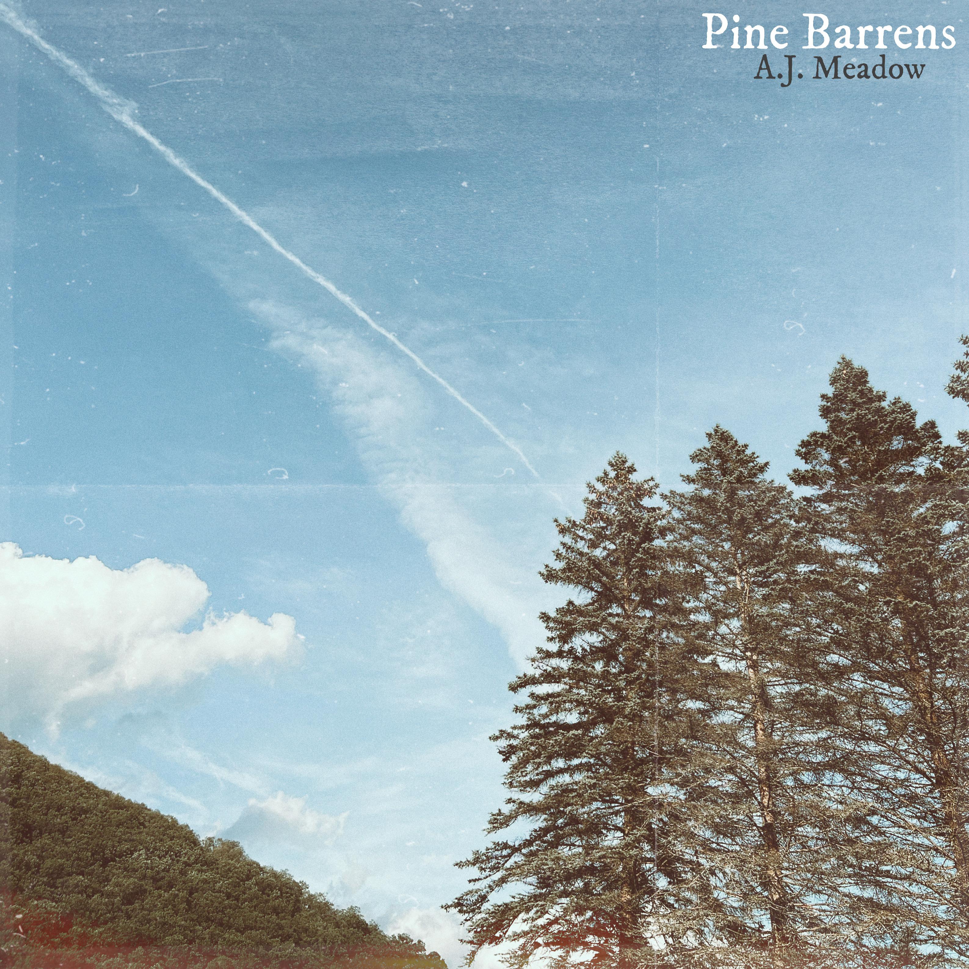 Постер альбома Pine Barrens