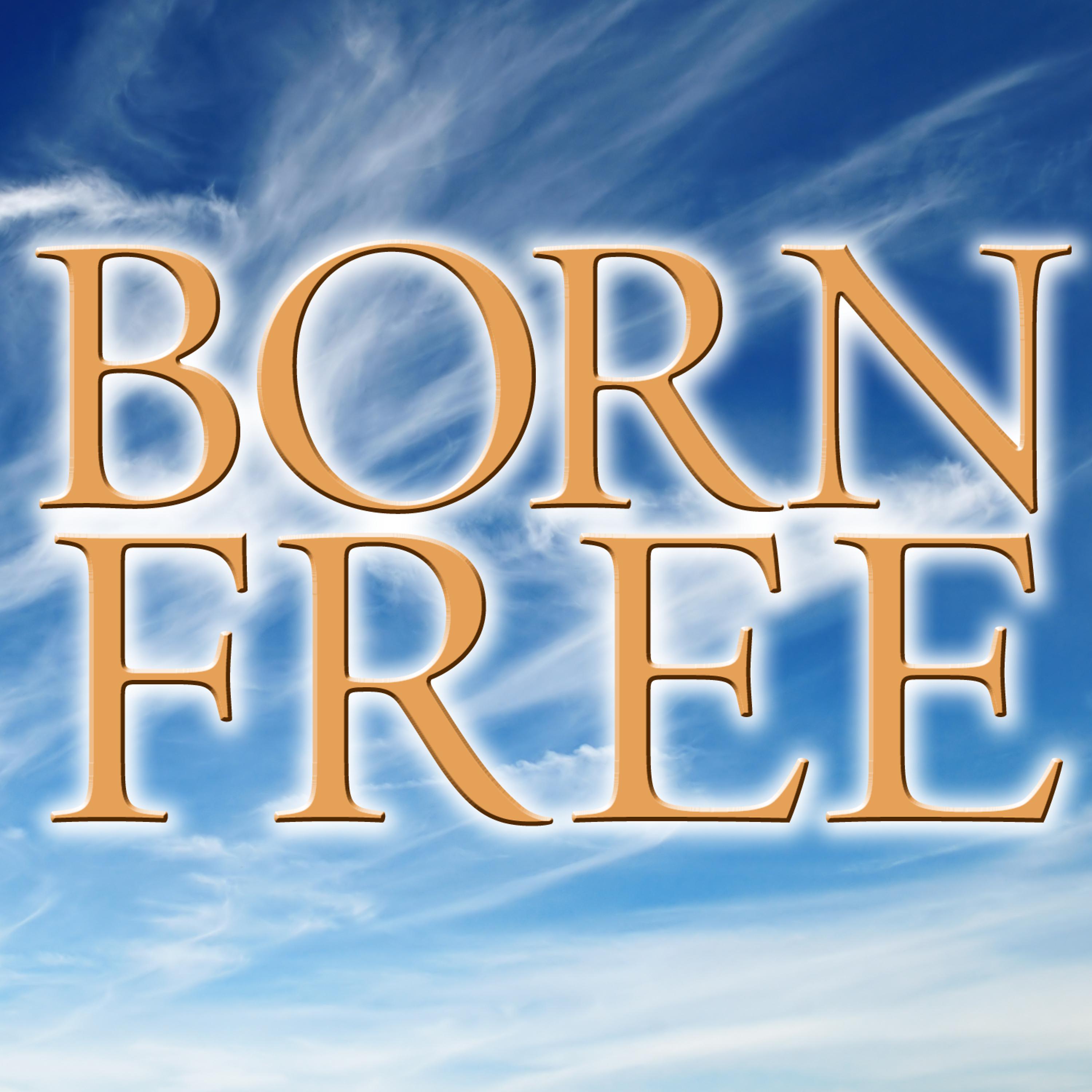 Постер альбома Born Free - A Tribute to Kid Rock