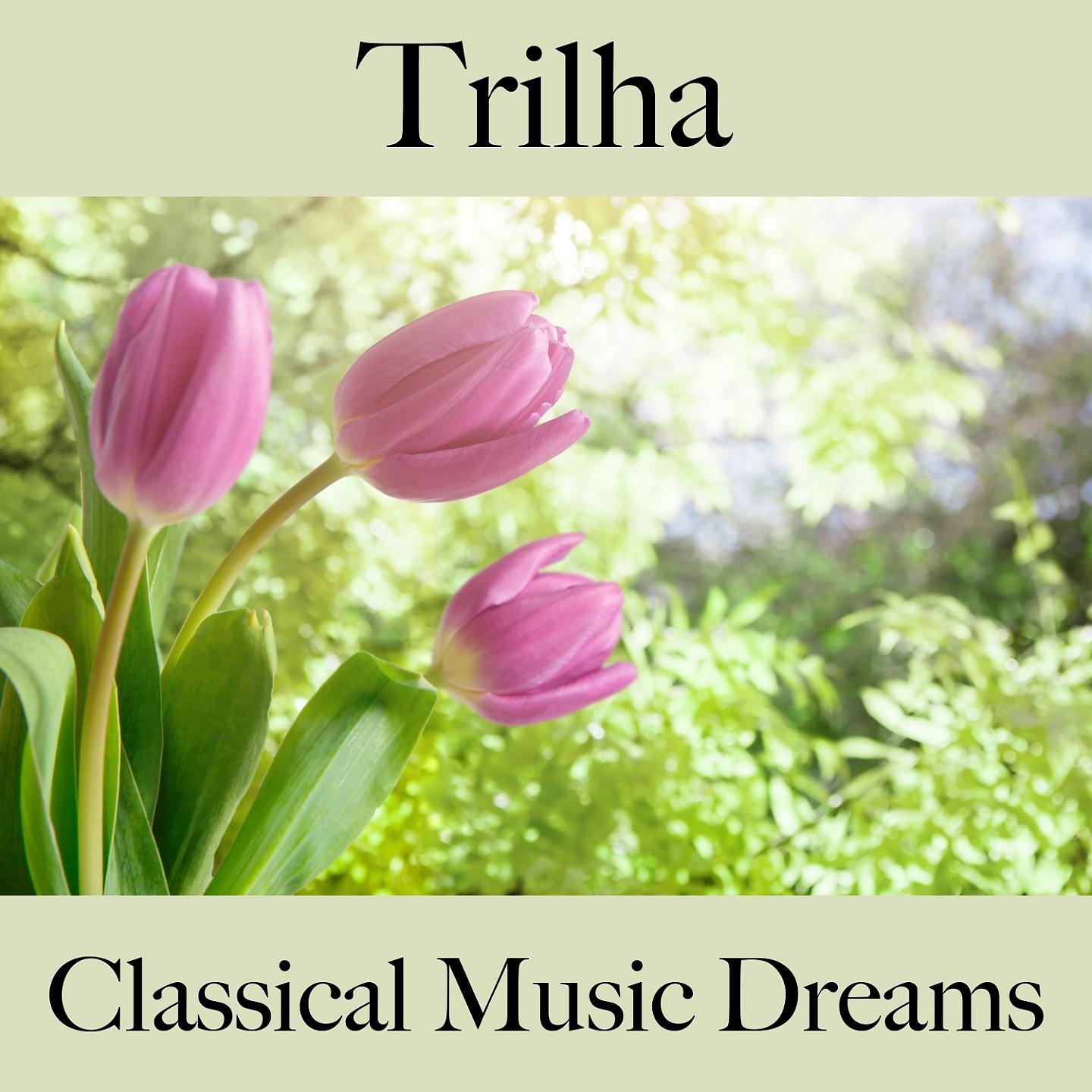 Постер альбома Trilha: Classical Music Dreams - A Melhor Música Para Relaxar