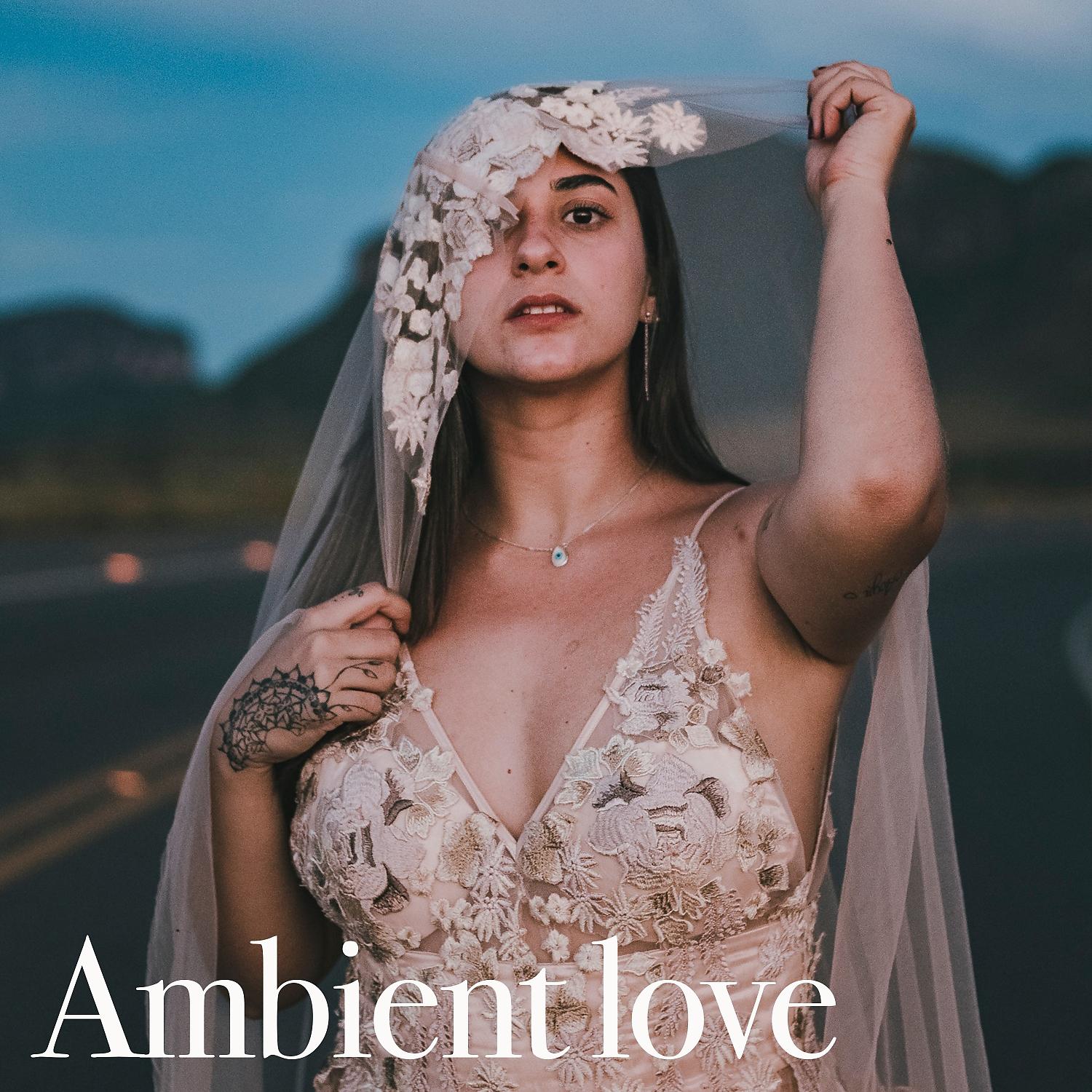 Постер альбома Ambient Love