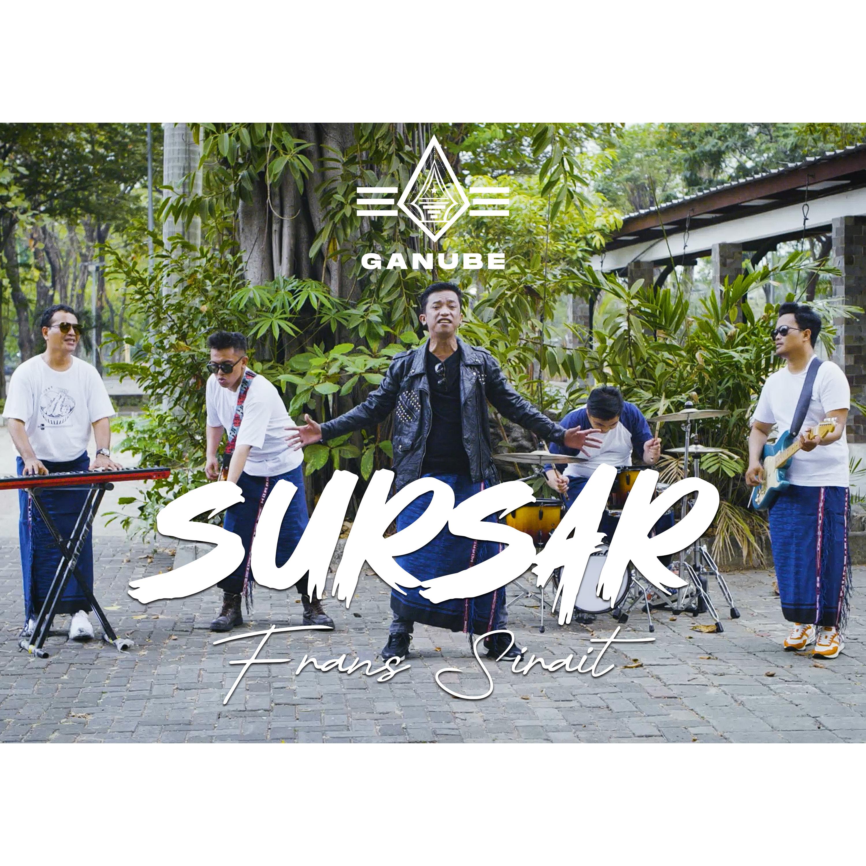 Постер альбома Sursar