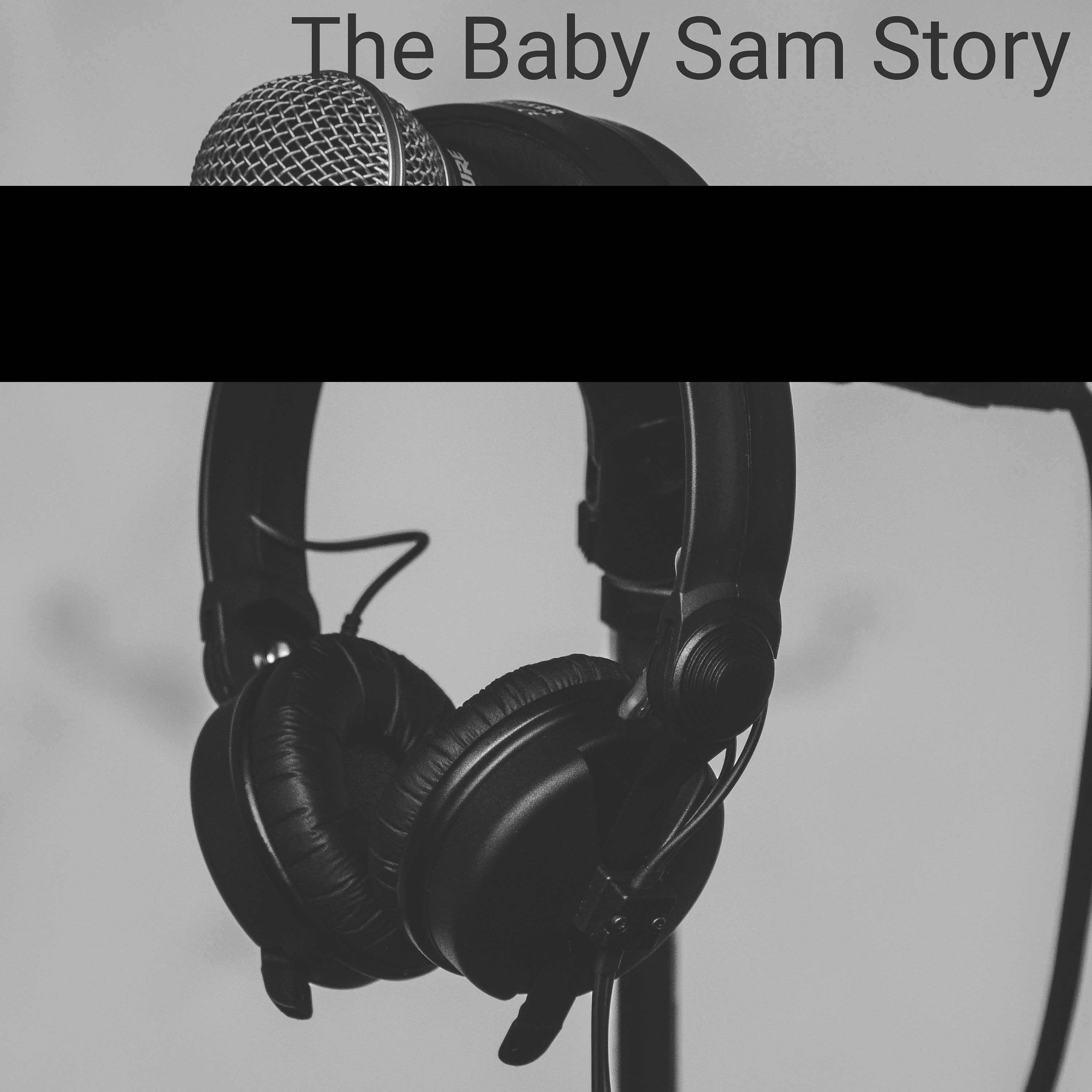 Постер альбома The Baby Sam Story