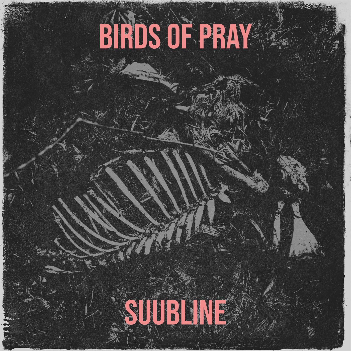 Постер альбома Birds of Pray