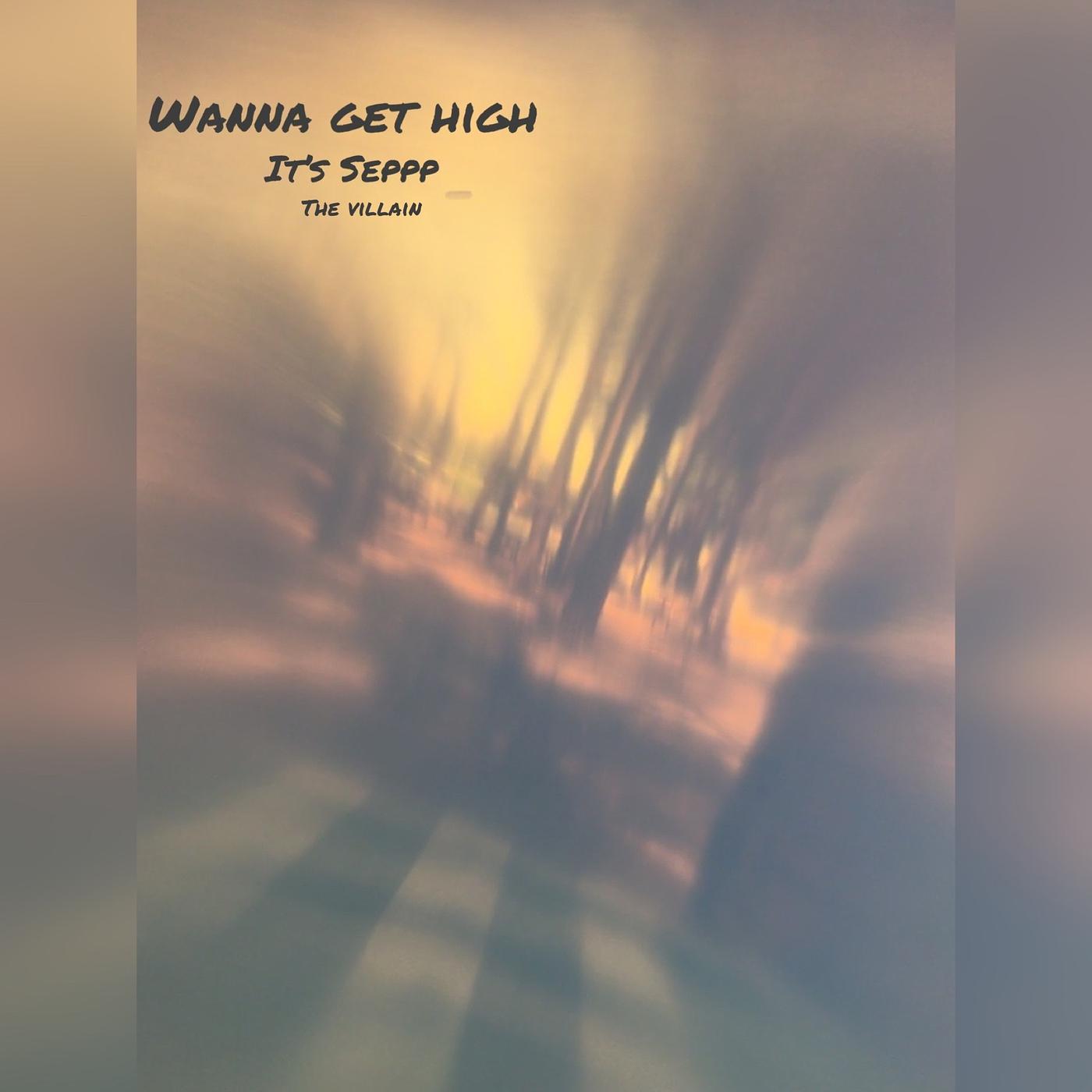 Постер альбома Wanna Get High
