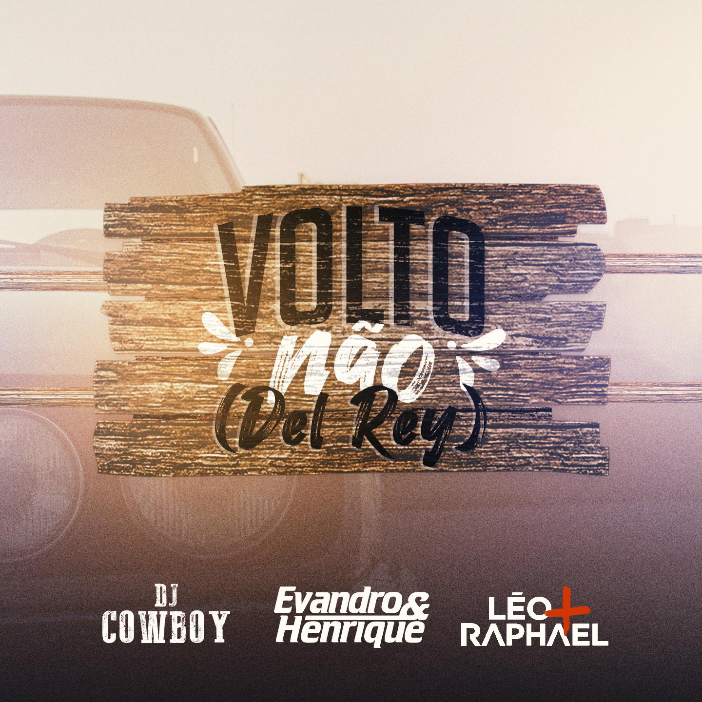 Постер альбома Volto Não (feat. Léo & Raphael)