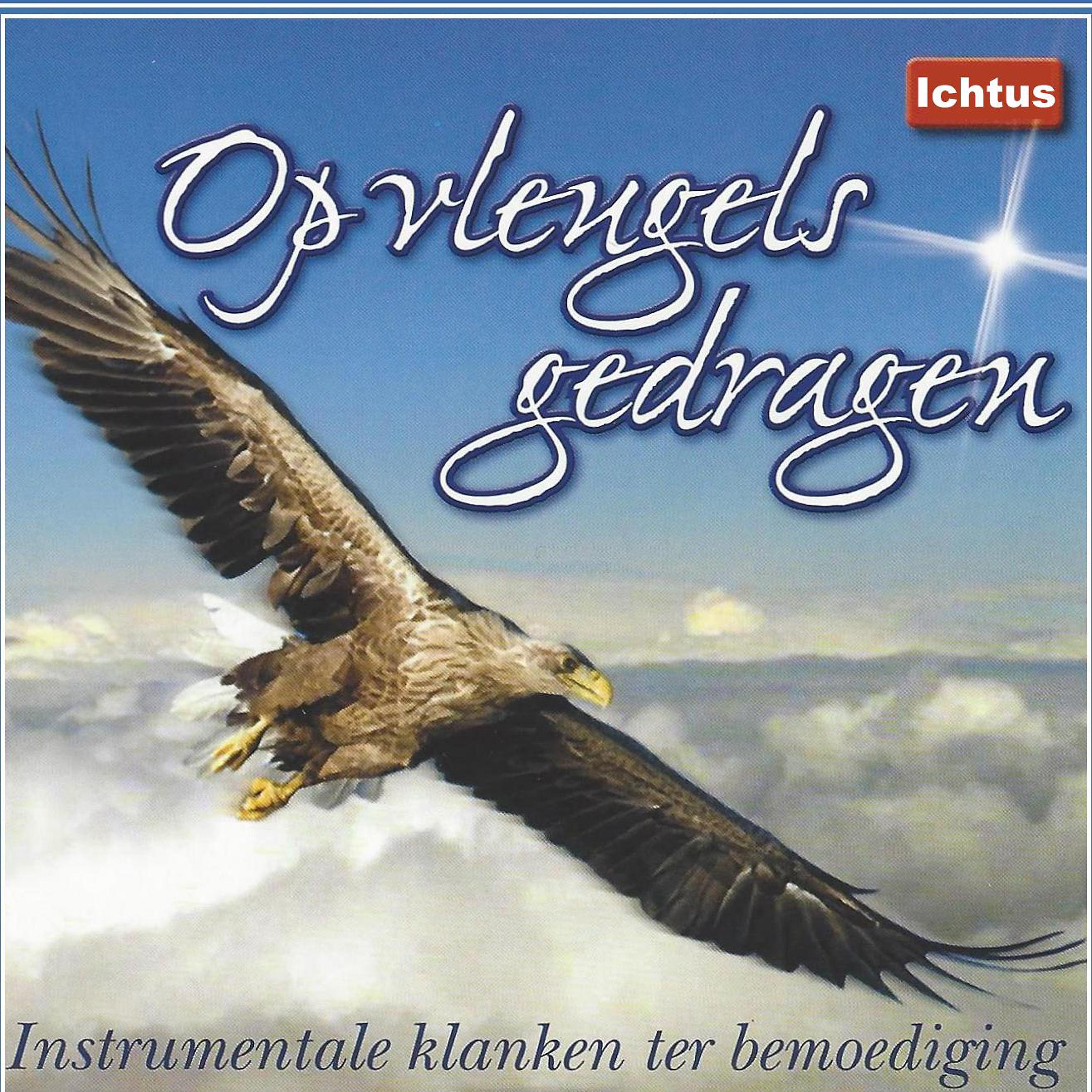 Постер альбома Op Vleugels Gedragen: Instrumentale klanken ter Bemoediging