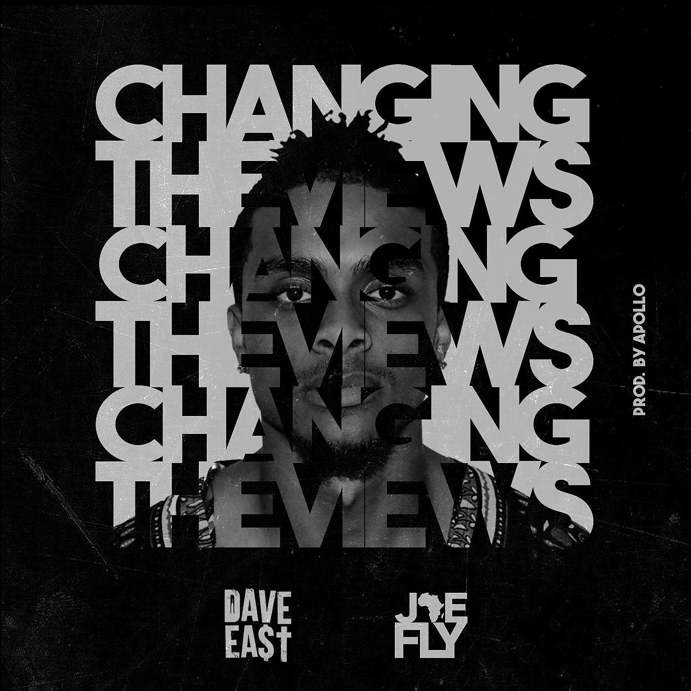 Постер альбома Changing the Views (feat. Dave East)