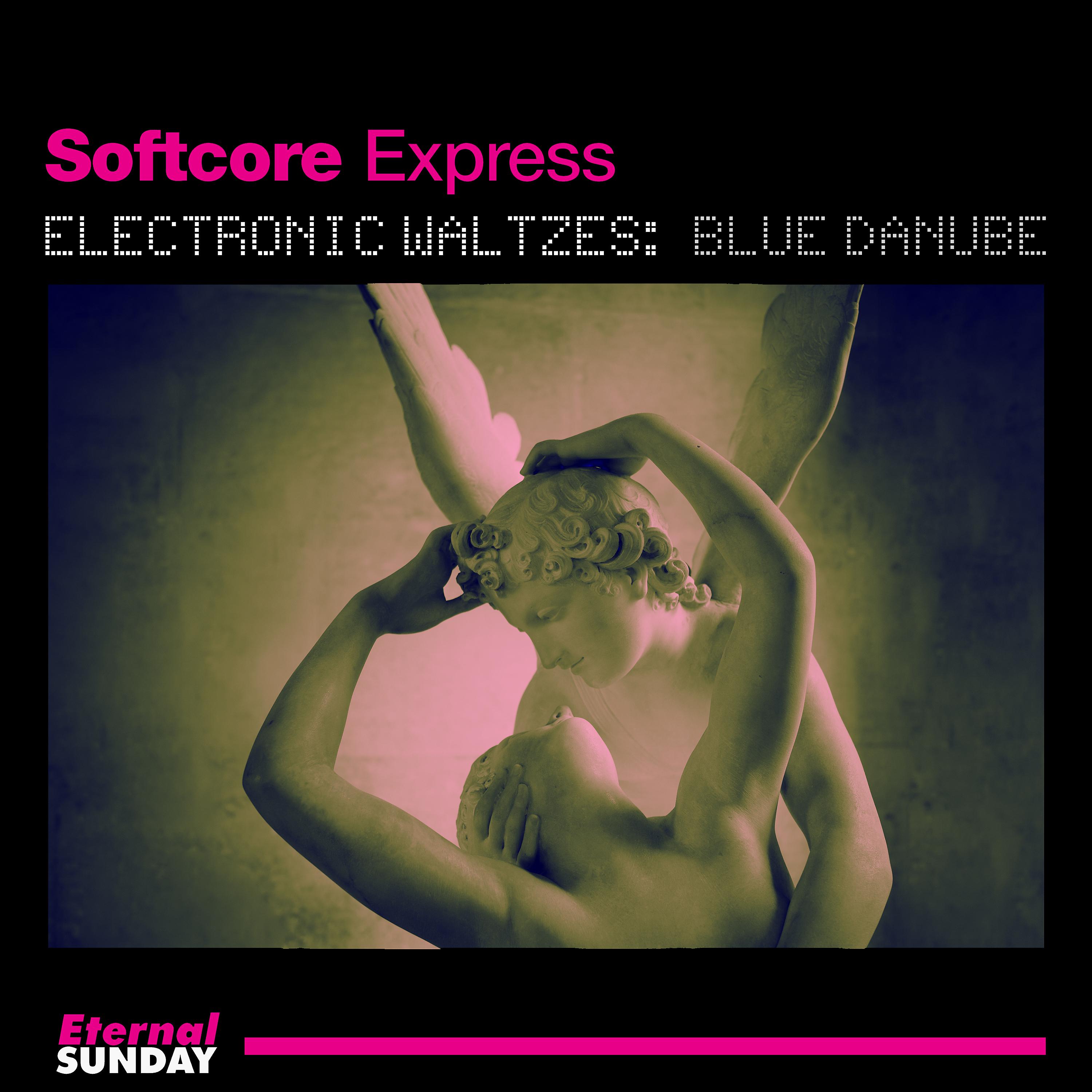 Постер альбома Electronic Waltzes: Blue Danube