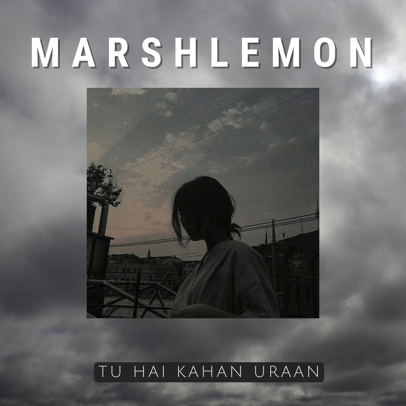 Постер альбома Tu Hai Kahan Uraan