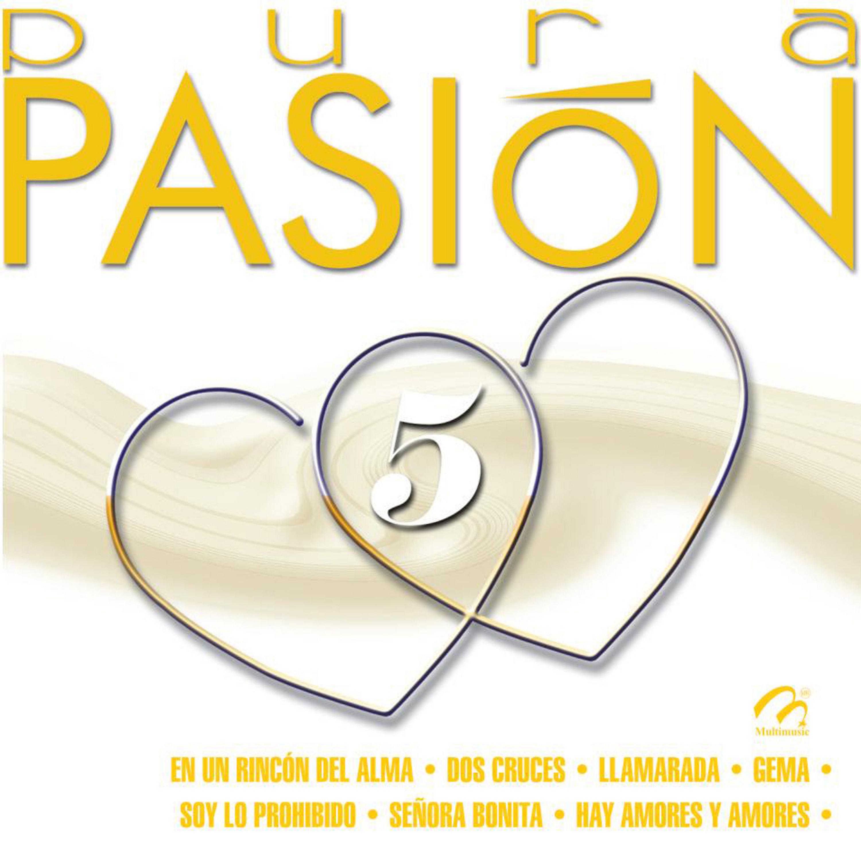 Постер альбома Pura Pasión, Vol. 5