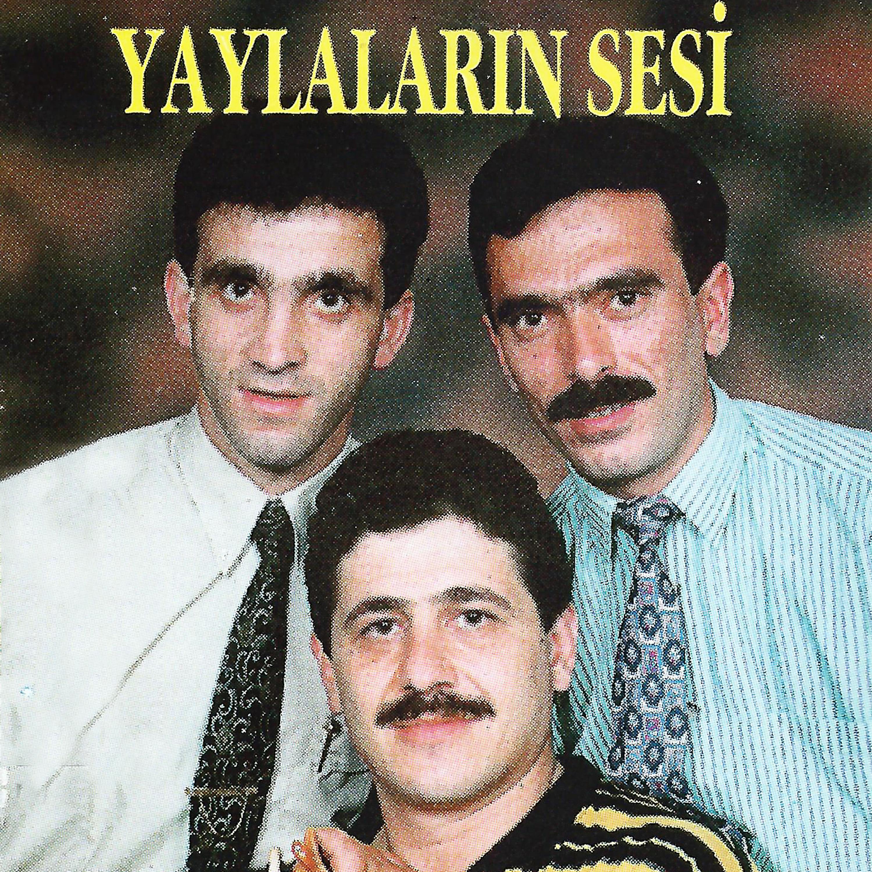 Постер альбома Yaylaların Sesi