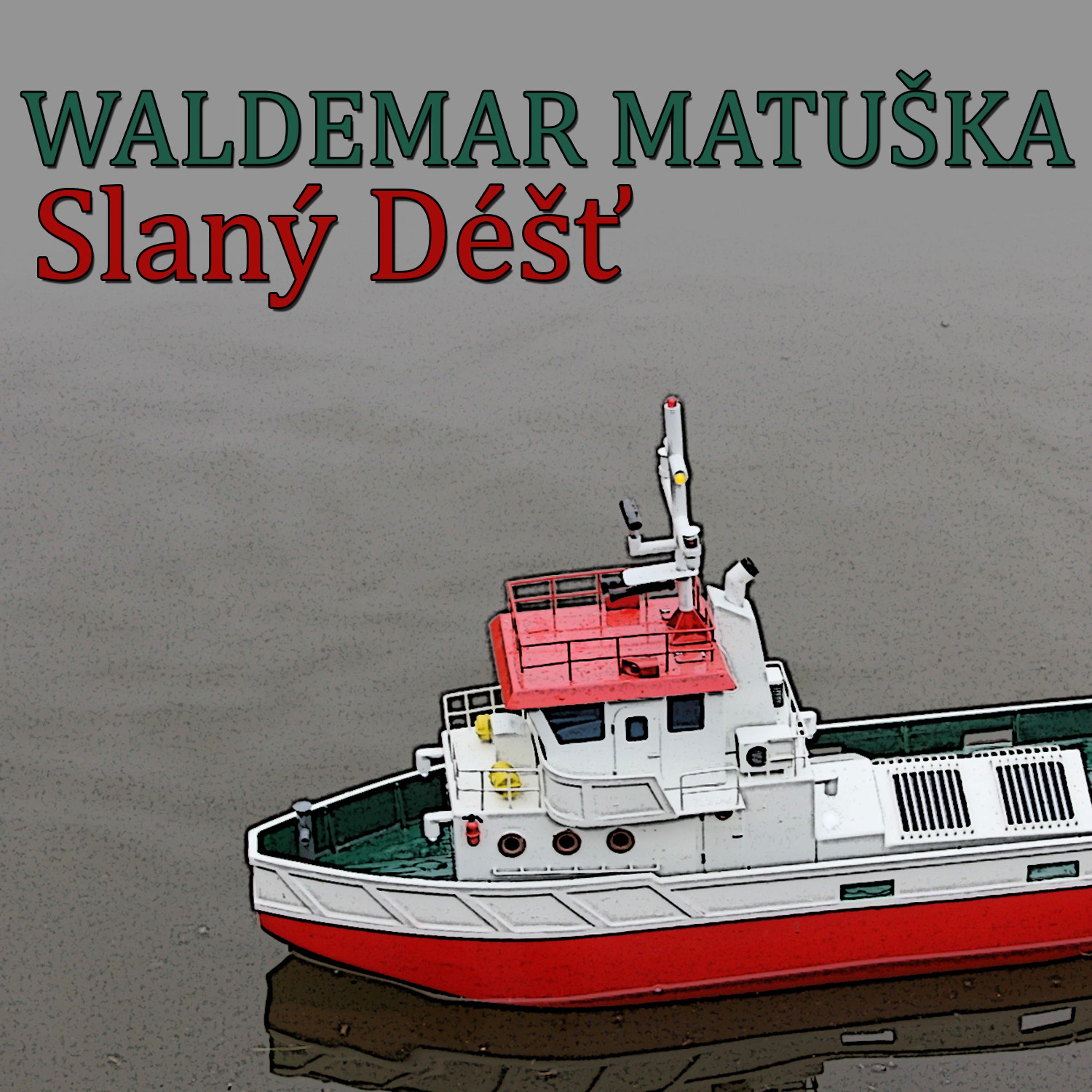Постер альбома Slaný Déšť