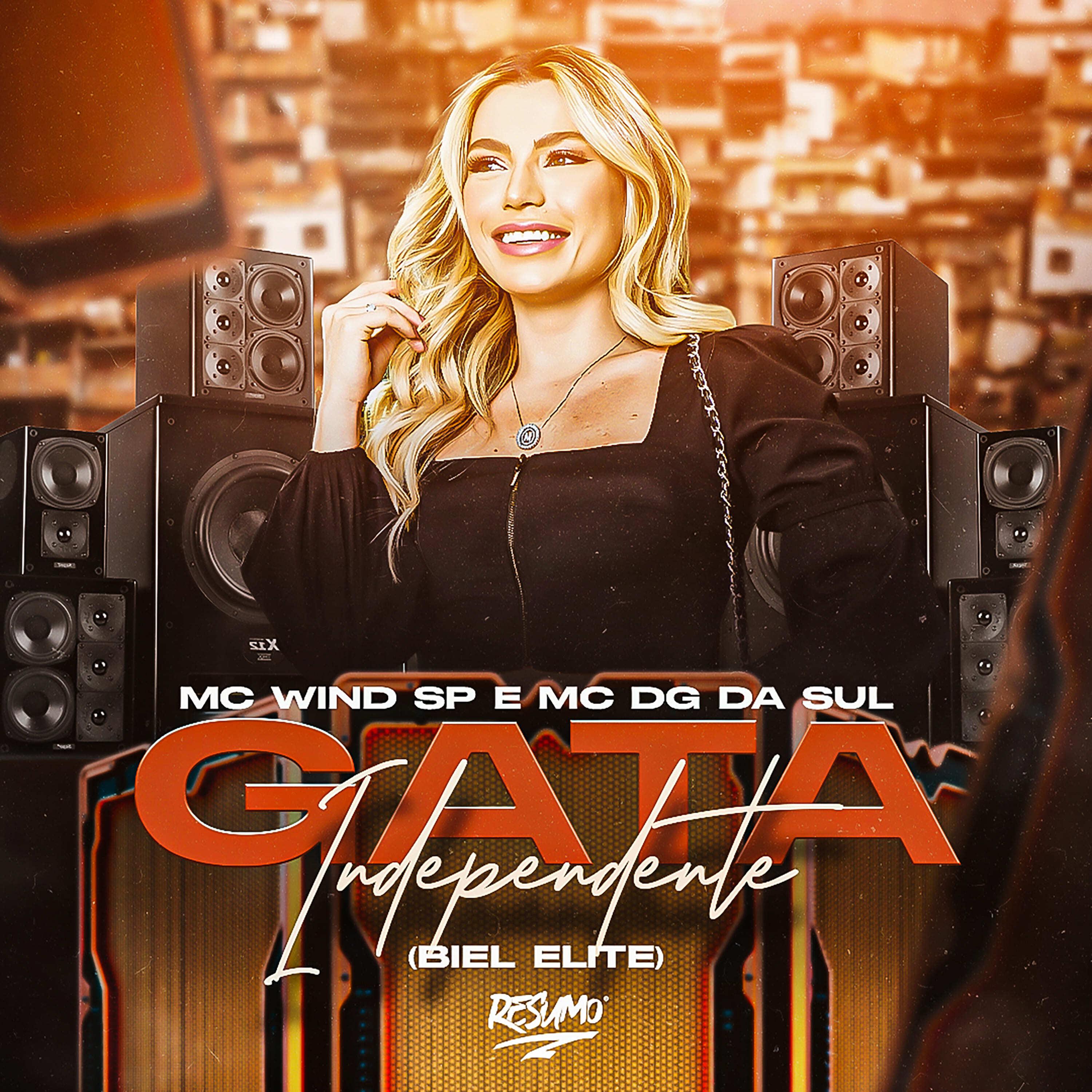Постер альбома Gata Independente