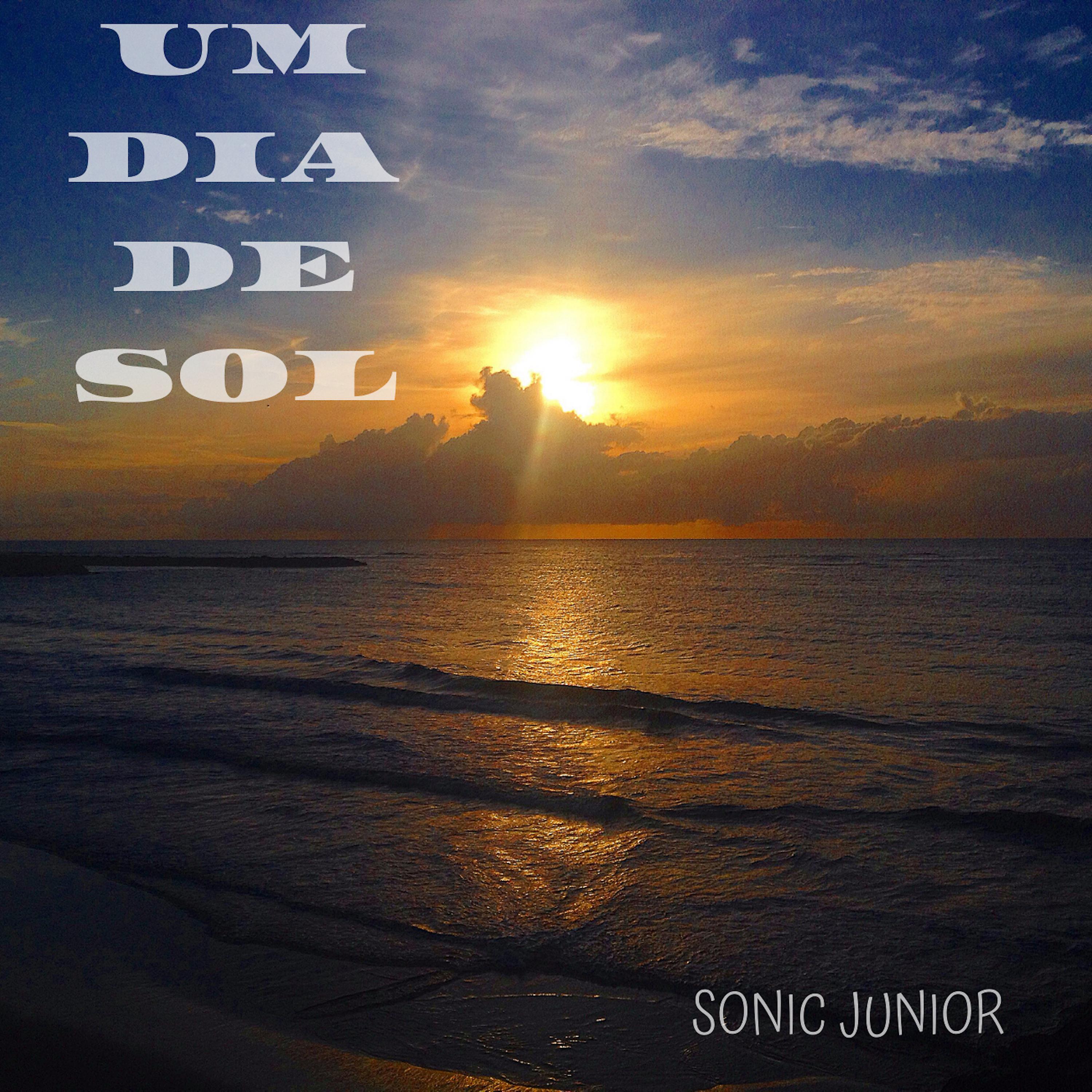 Постер альбома Um Dia de Sol