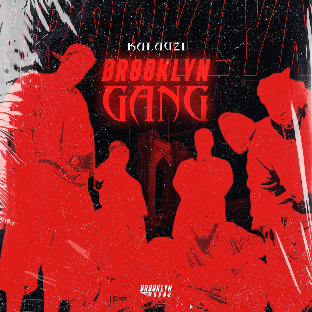 Постер альбома Brooklyn Gang