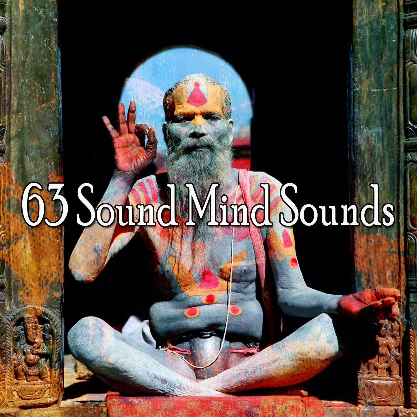 Постер альбома 63 звуковых звука