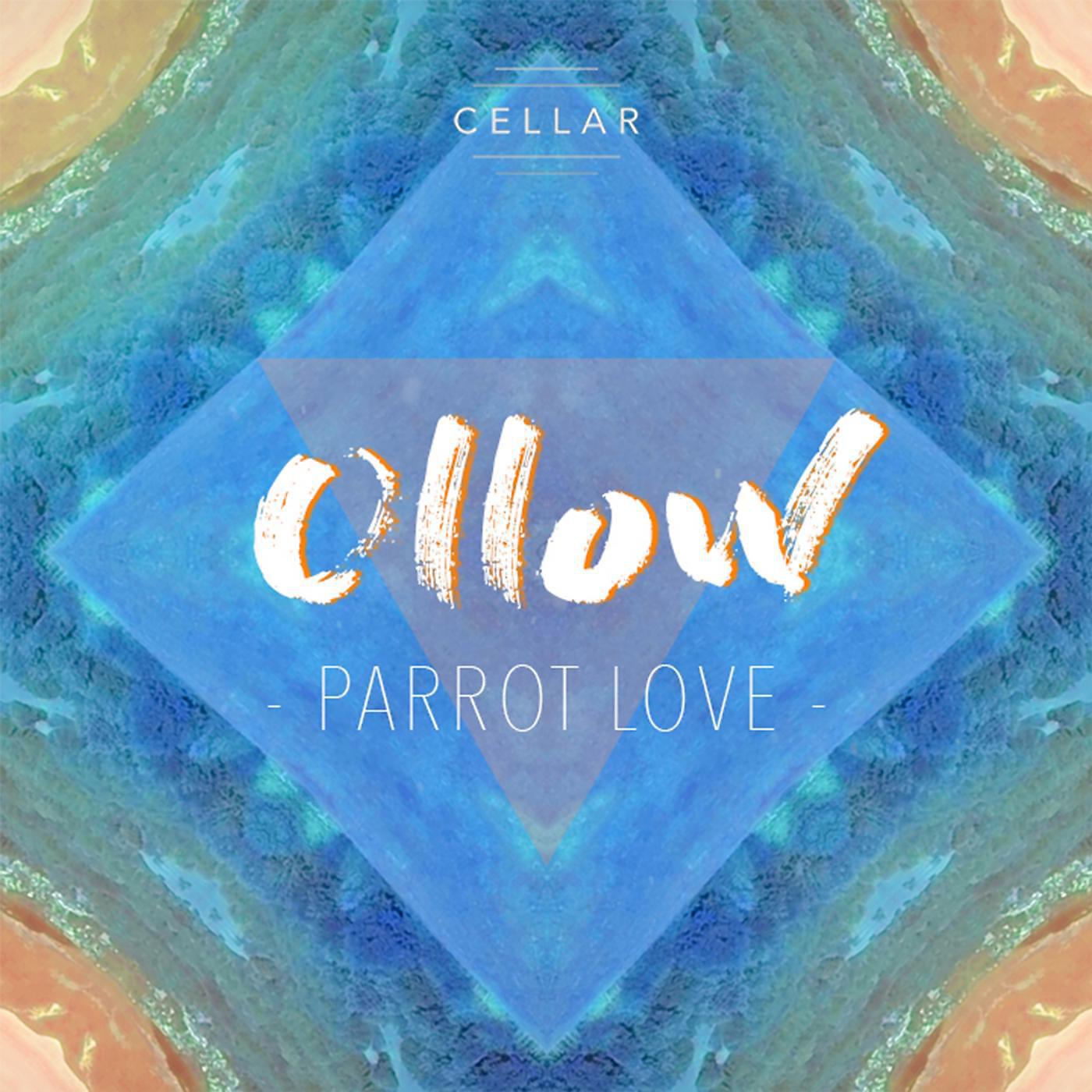 Постер альбома Parrot Love