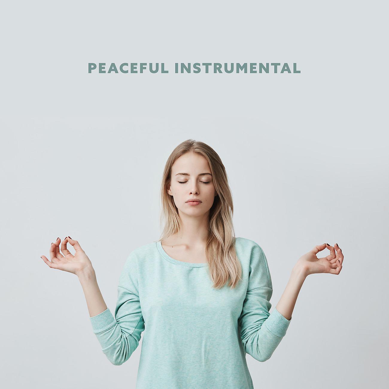 Постер альбома Peaceful Instrumental
