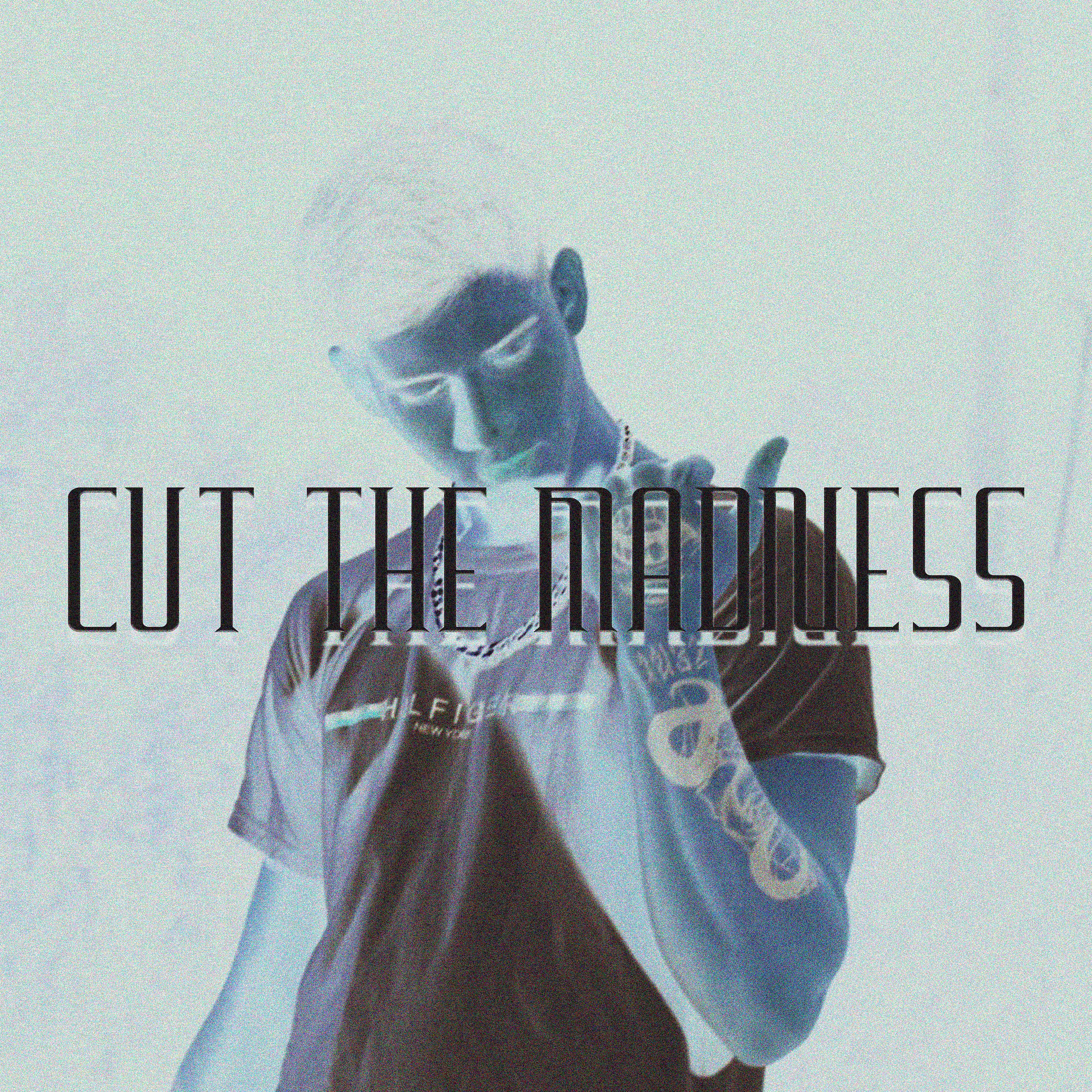 Постер альбома Cut The Madness