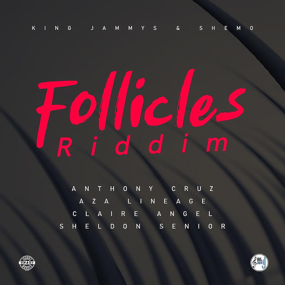 Постер альбома Follicles Riddim