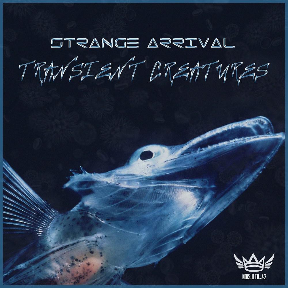 Постер альбома Transient Creatures