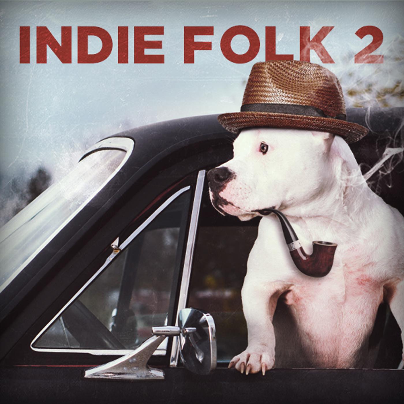 Постер альбома Indie Folk 2